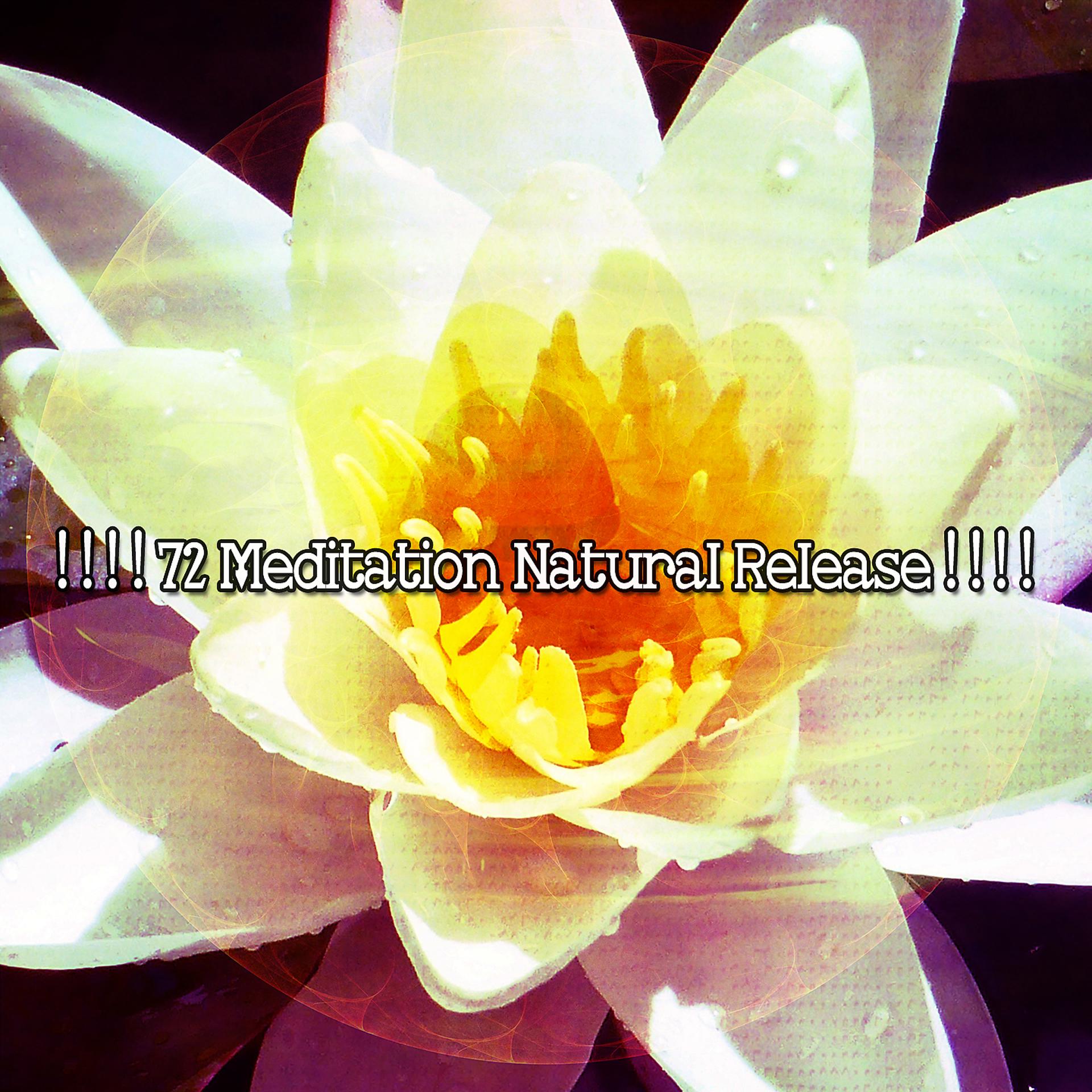 Постер альбома ! ! ! ! 72 Медитация Естественное Высвобождение! ! ! !
