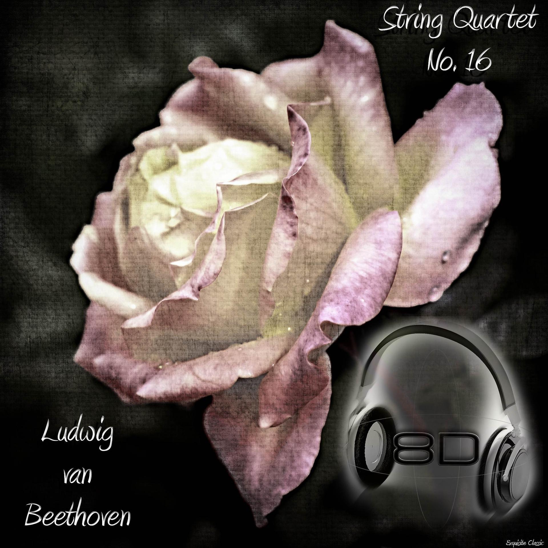 Постер альбома String Quartet No. 16 in F major, Op.135 - Ludwig van Beethoven