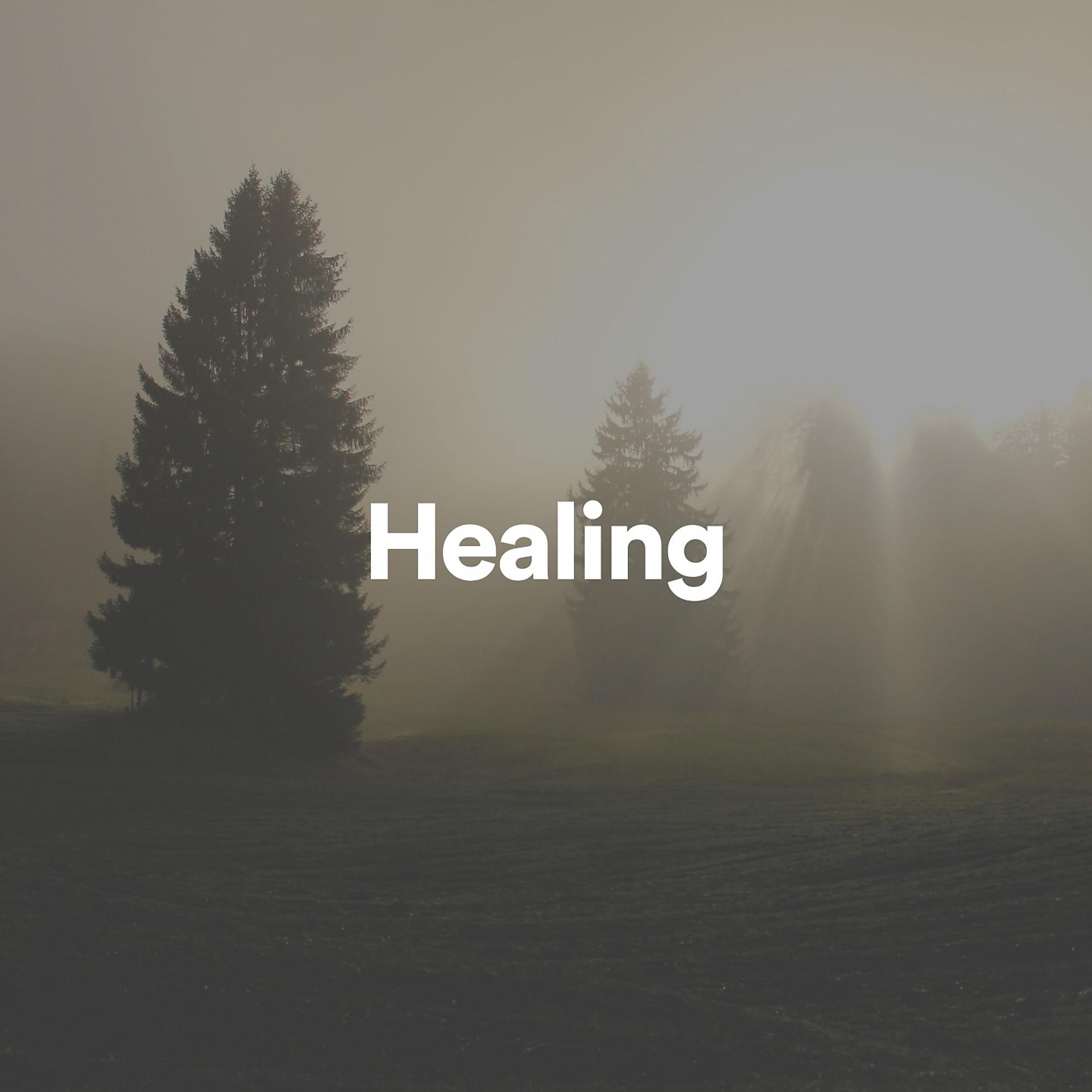 Постер альбома Healing