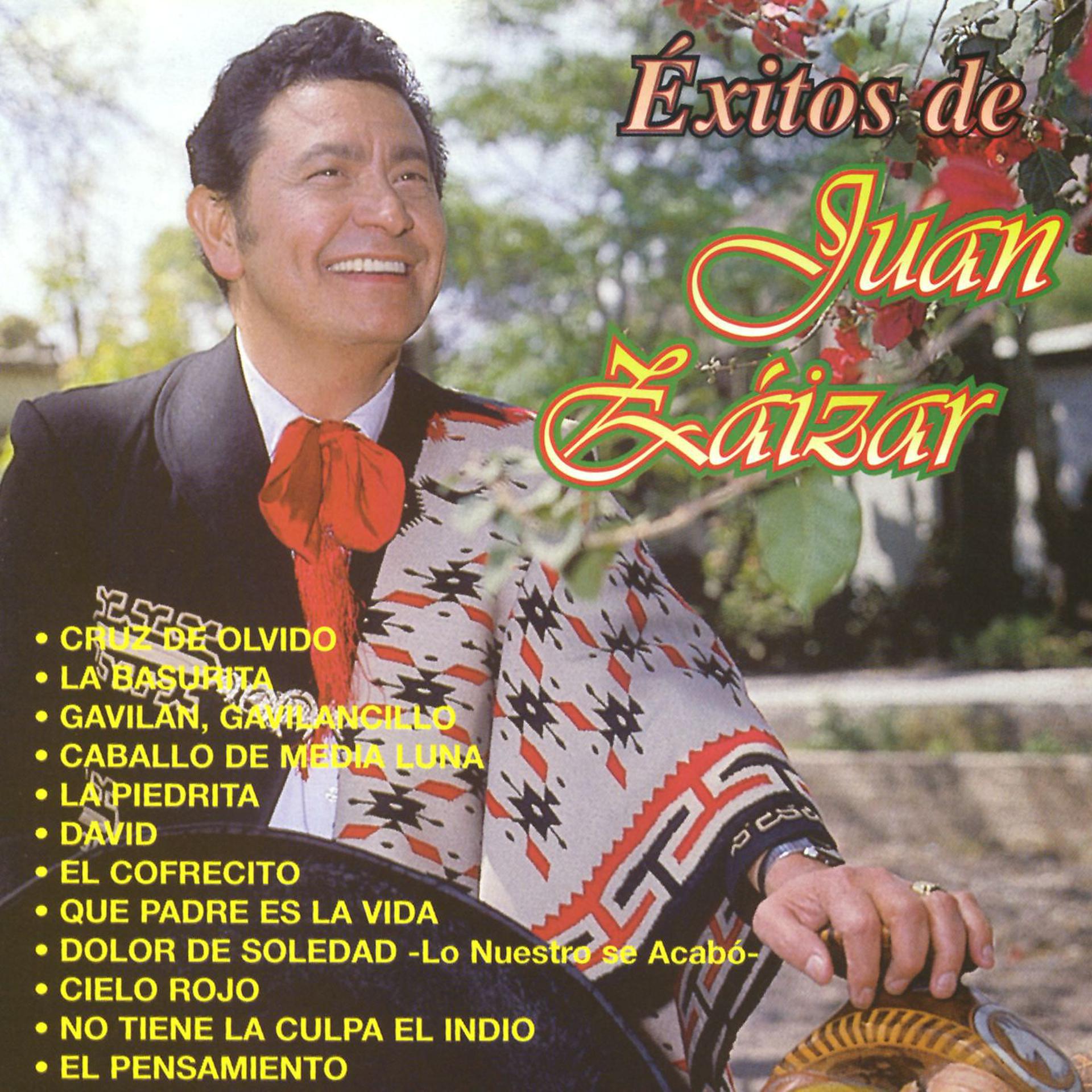 Постер альбома Exitos de Juan Zaizar
