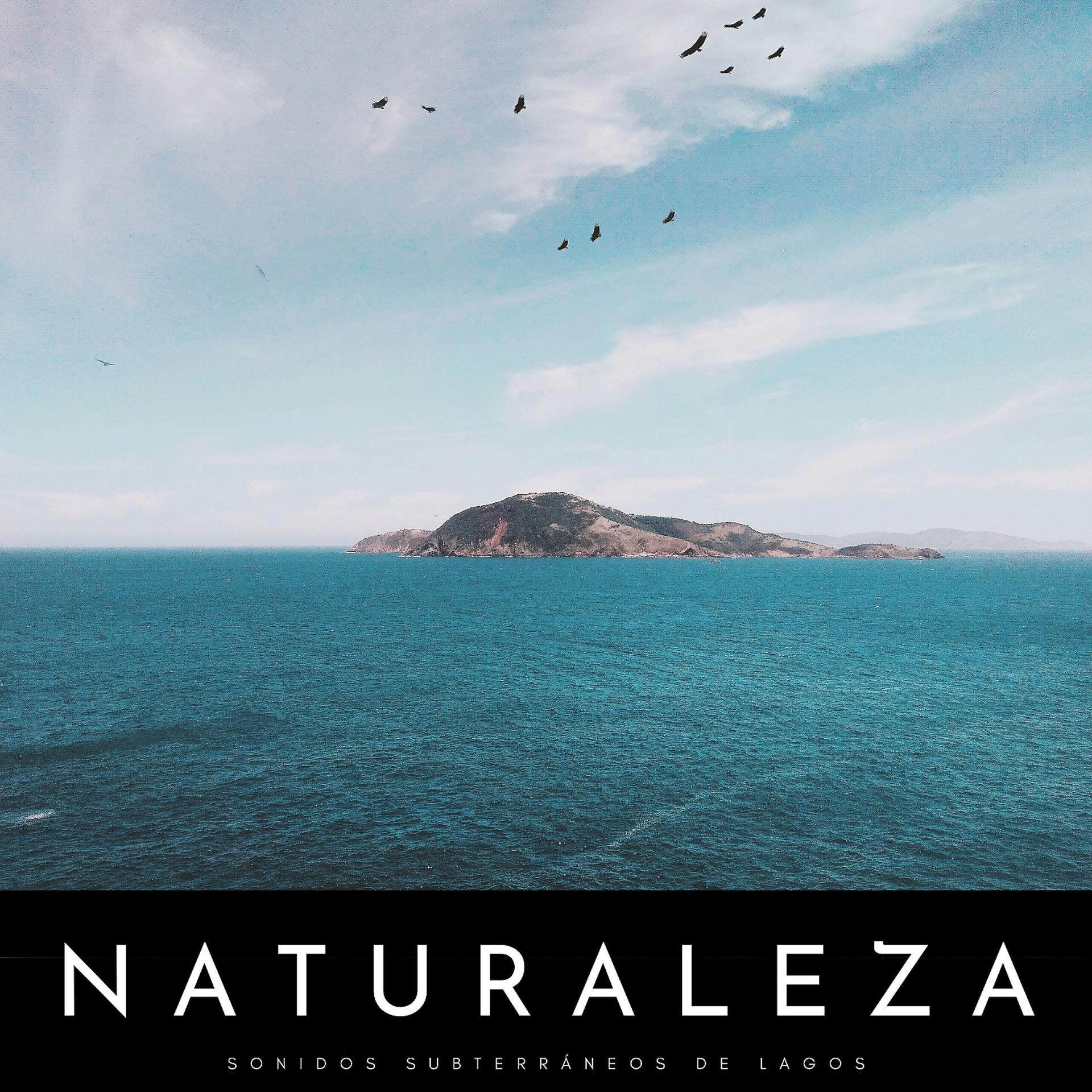 Постер альбома Naturaleza: Sonidos Subterráneos De Lagos
