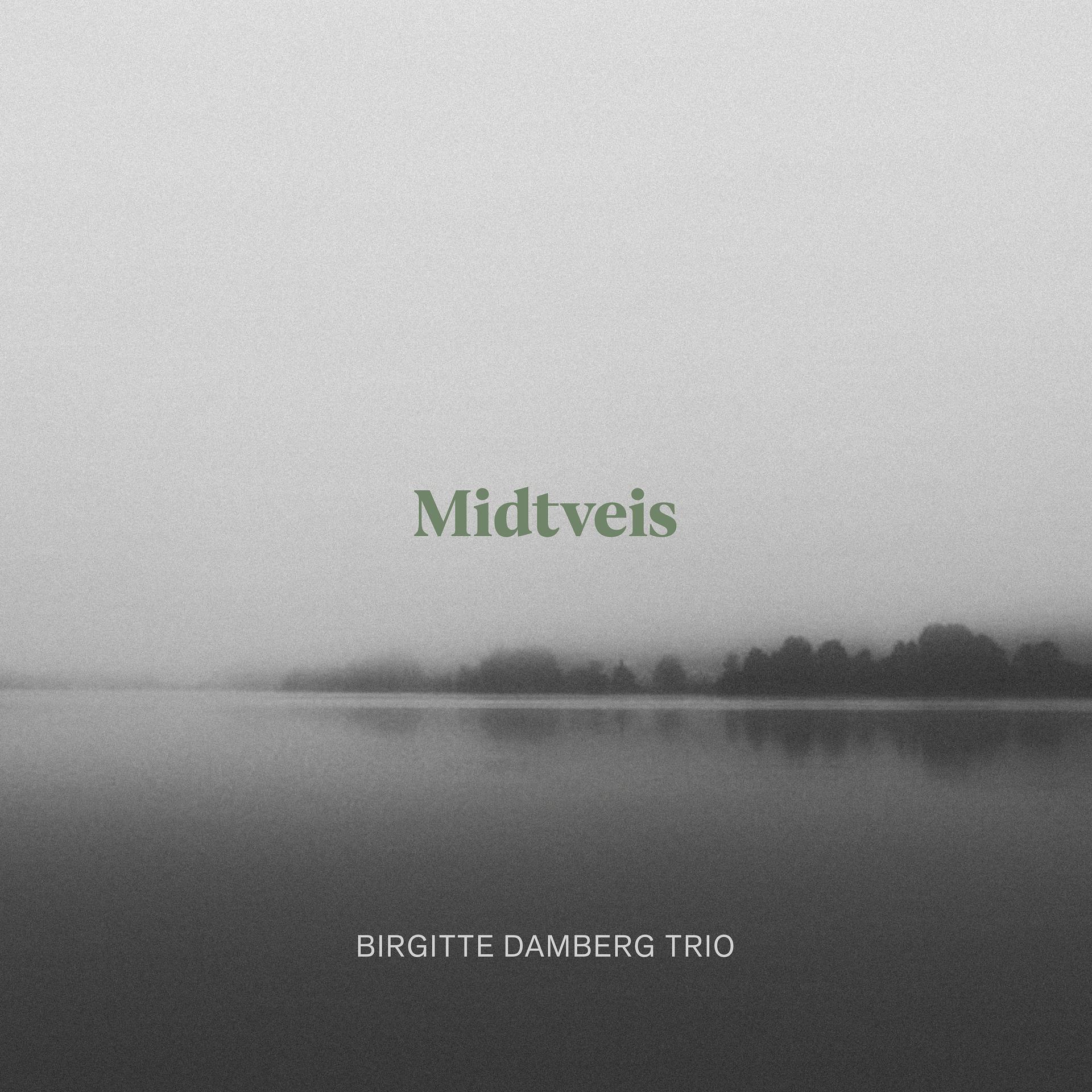 Постер альбома Midtveis