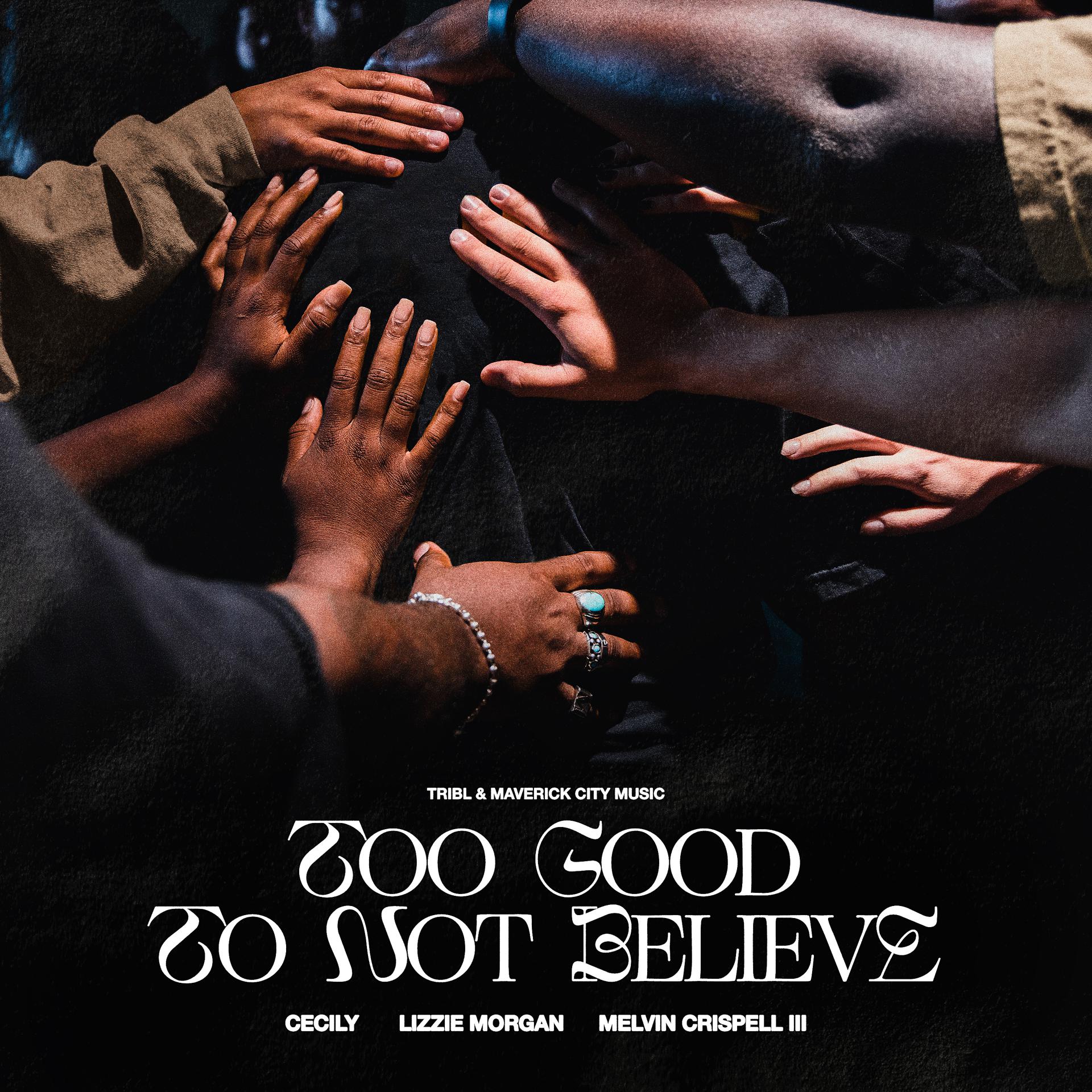 Постер альбома Too Good To Not Believe (feat. Lizzie Morgan, Cecily & Melvin Crispell III)