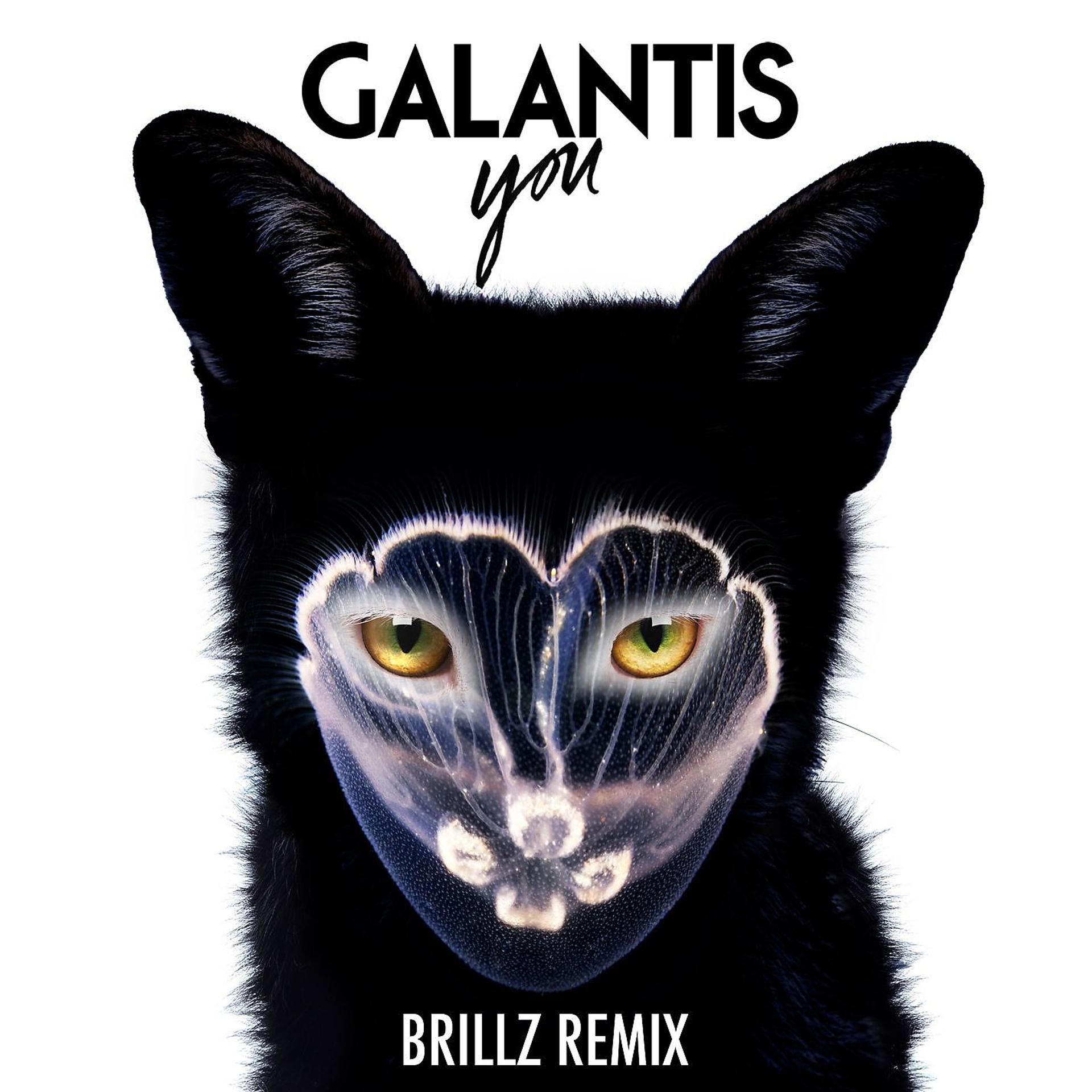 Постер альбома You (Brillz Remix)