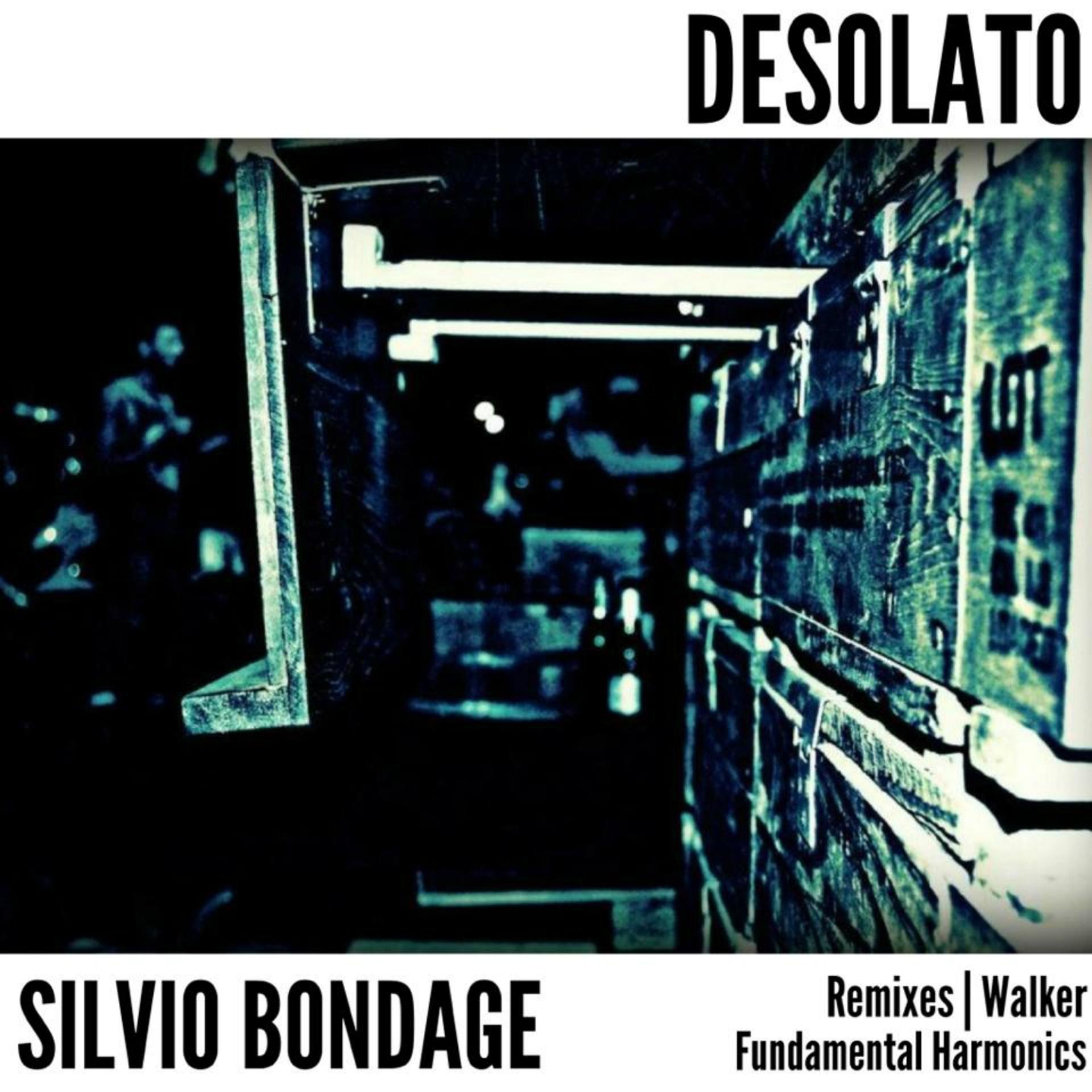 Постер альбома Desolato