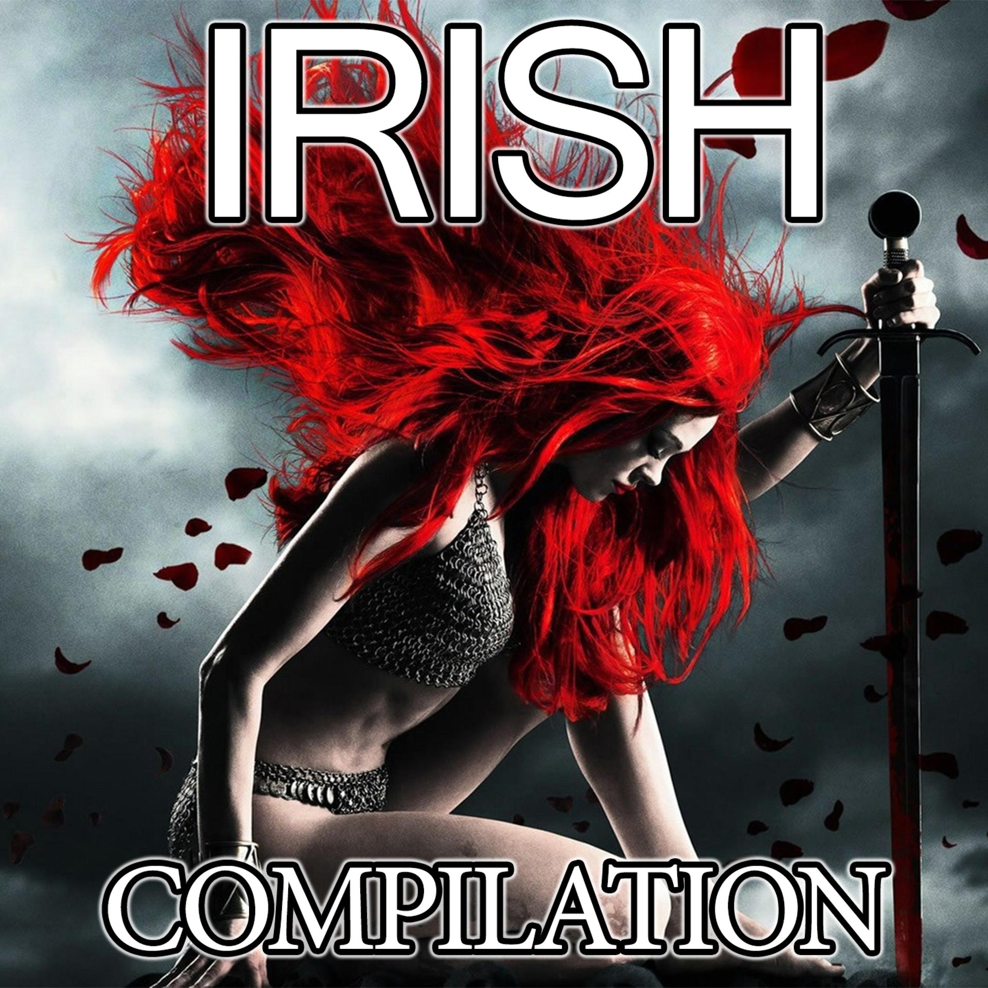 Постер альбома Irish Compilation