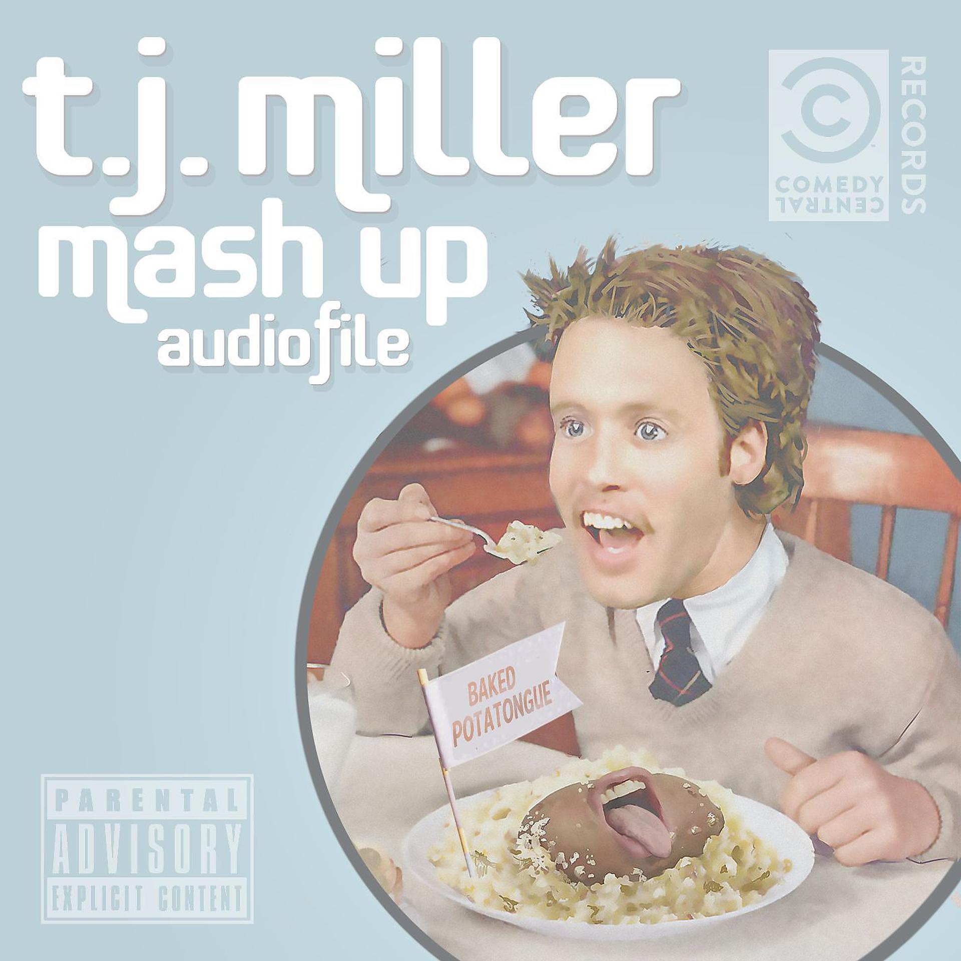Постер альбома Mash Up Audiofile