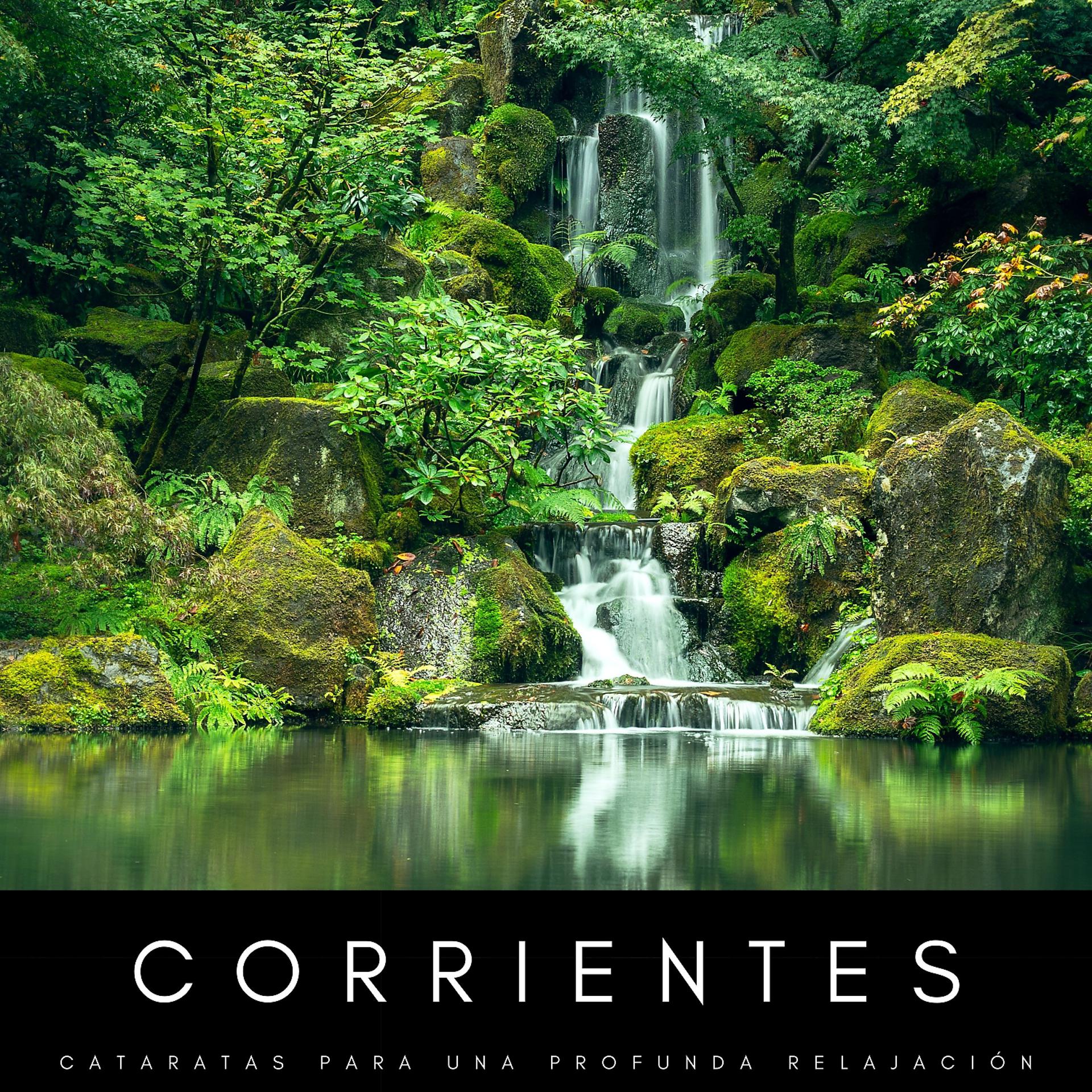 Постер альбома Corrientes: Cataratas Para Una Profunda Relajación