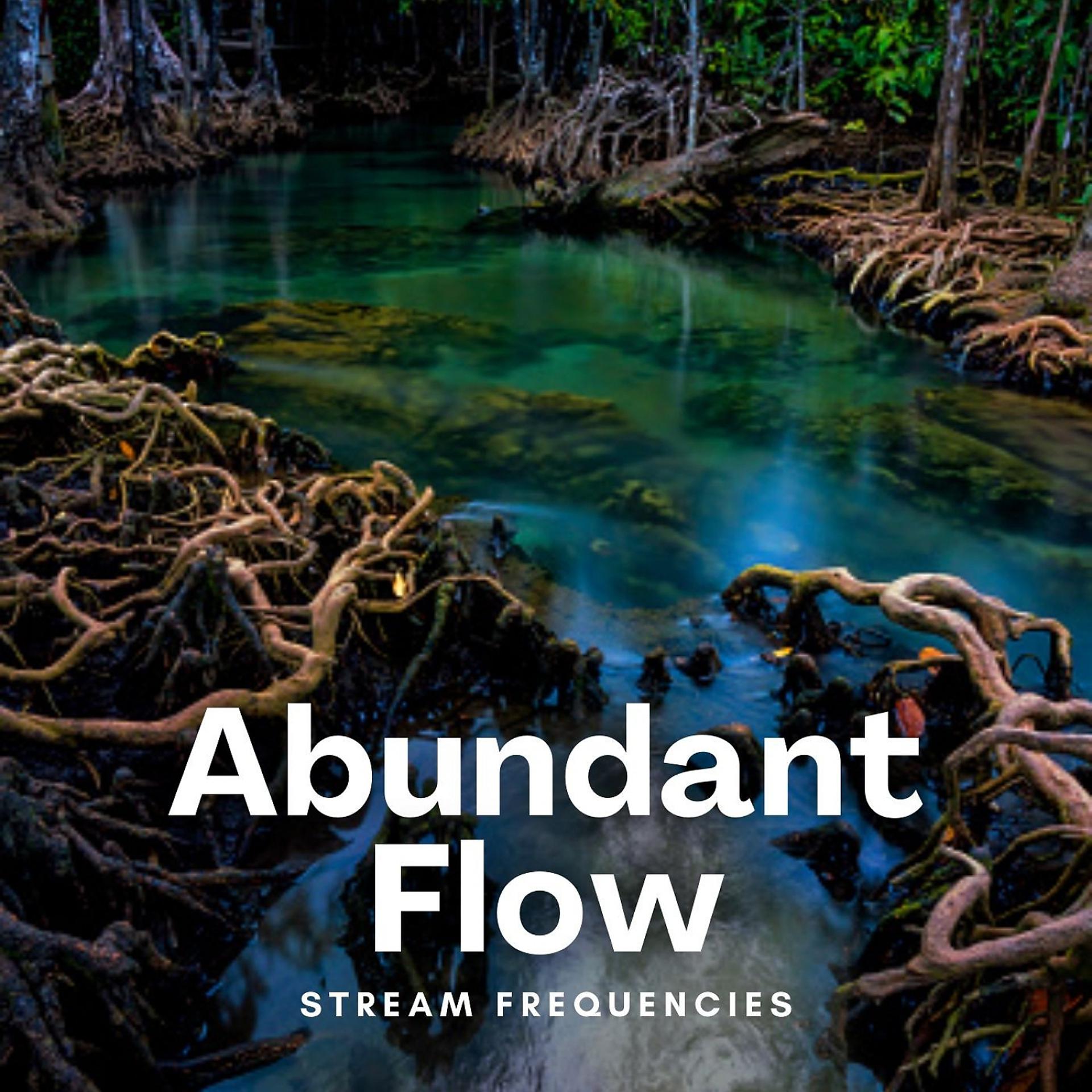 Постер альбома Stream Frequencies: Abundant Flow
