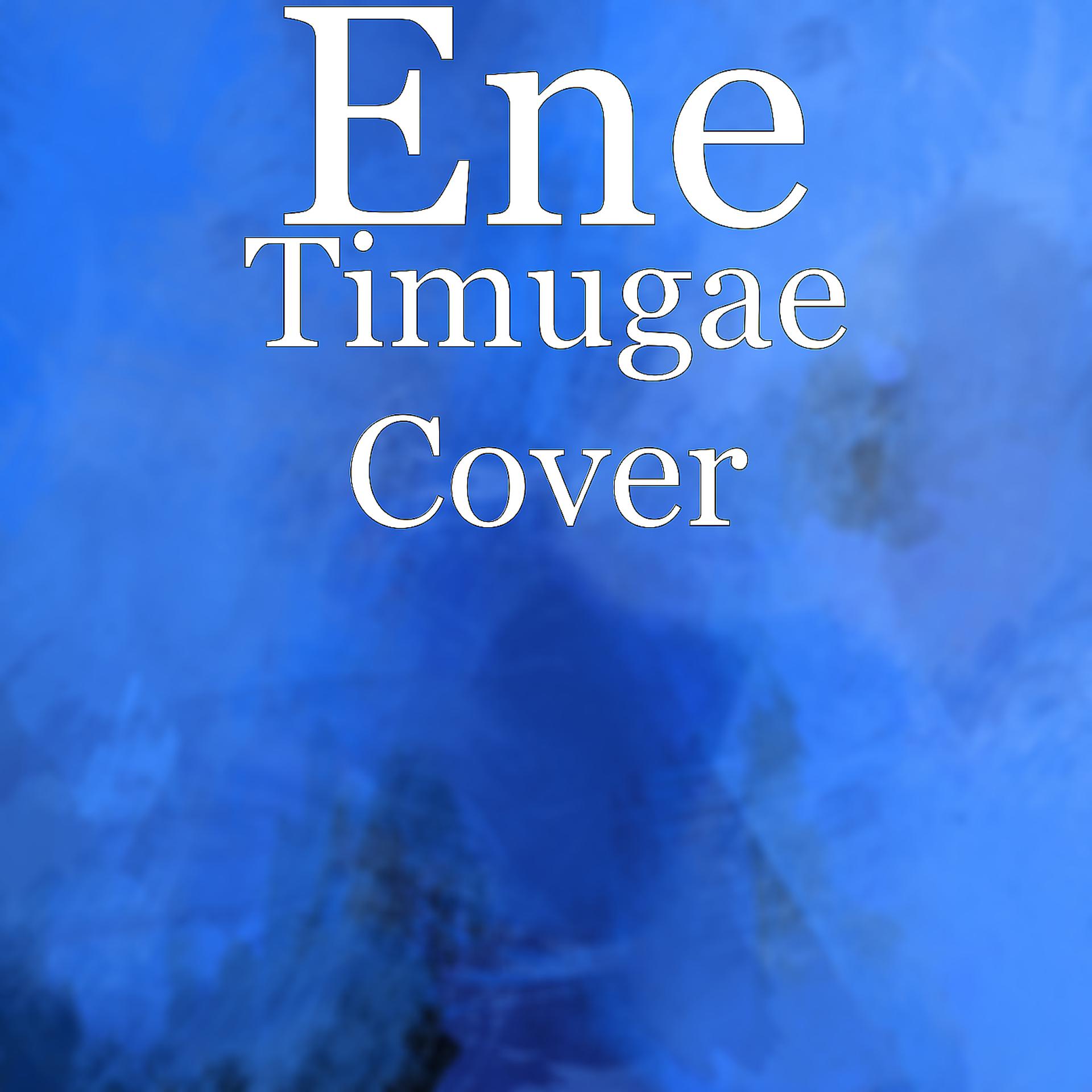 Постер альбома Timugae Cover