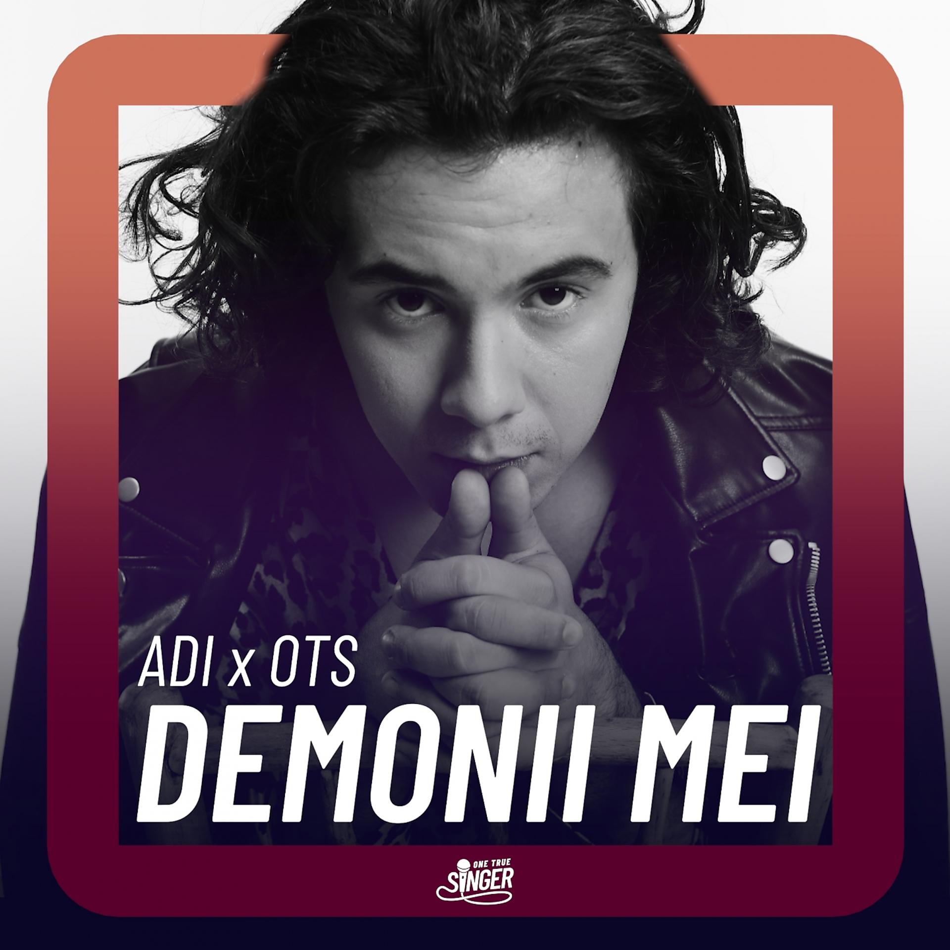Постер альбома Demonii Mei
