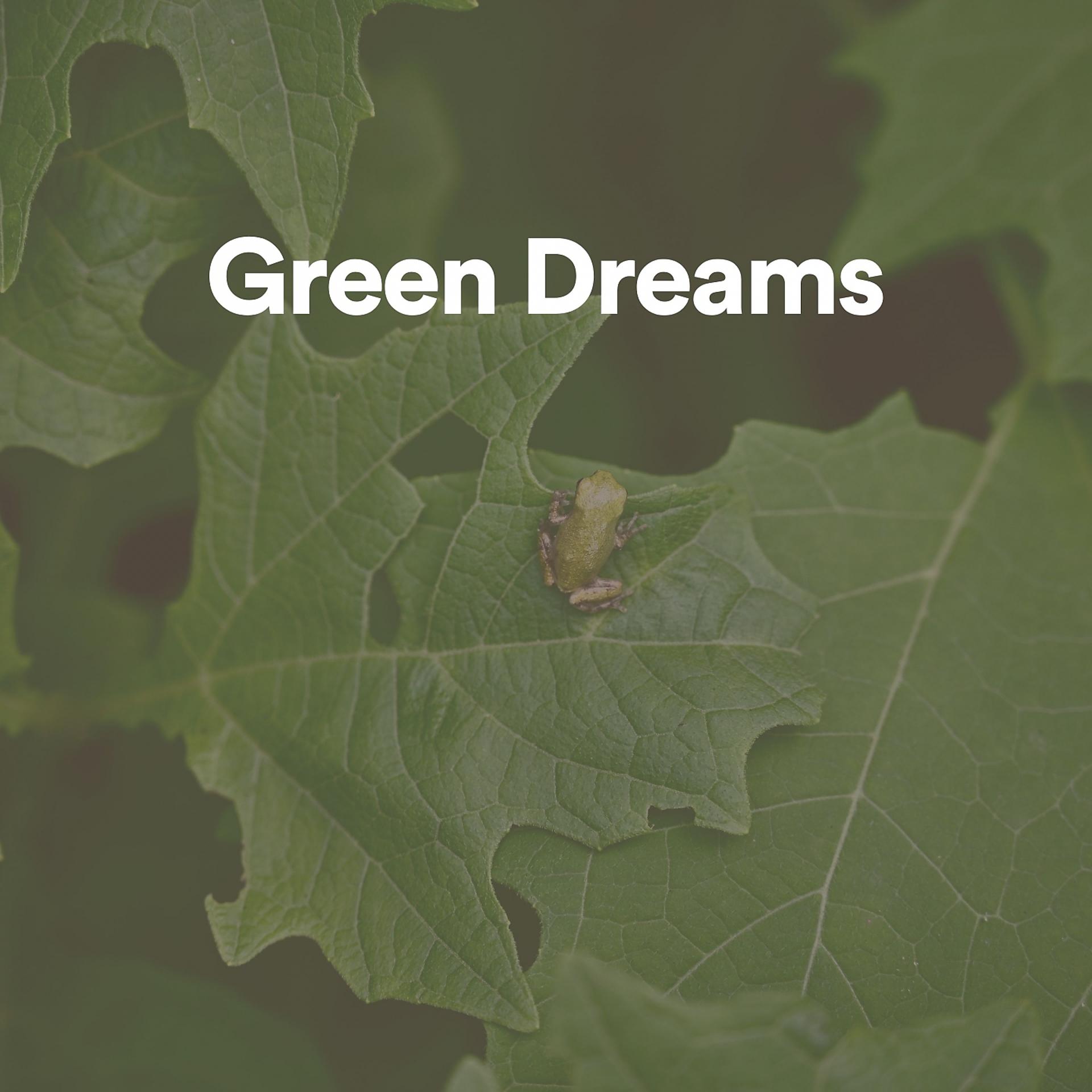 Постер альбома Green Dreams