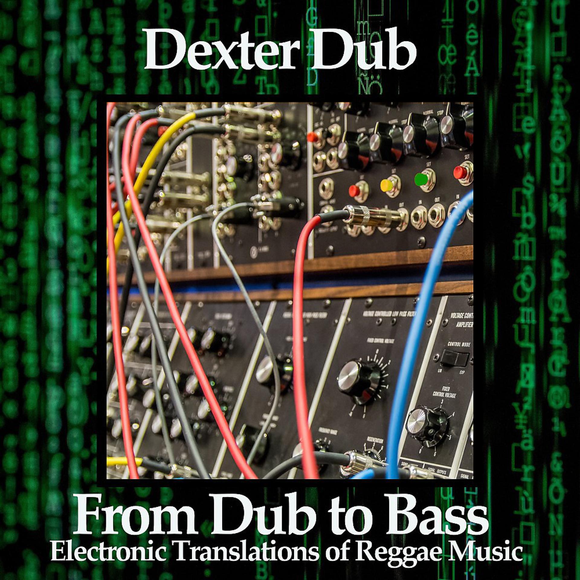 Постер альбома From Dub to Bass (Electronic Translations of Reggae Music)
