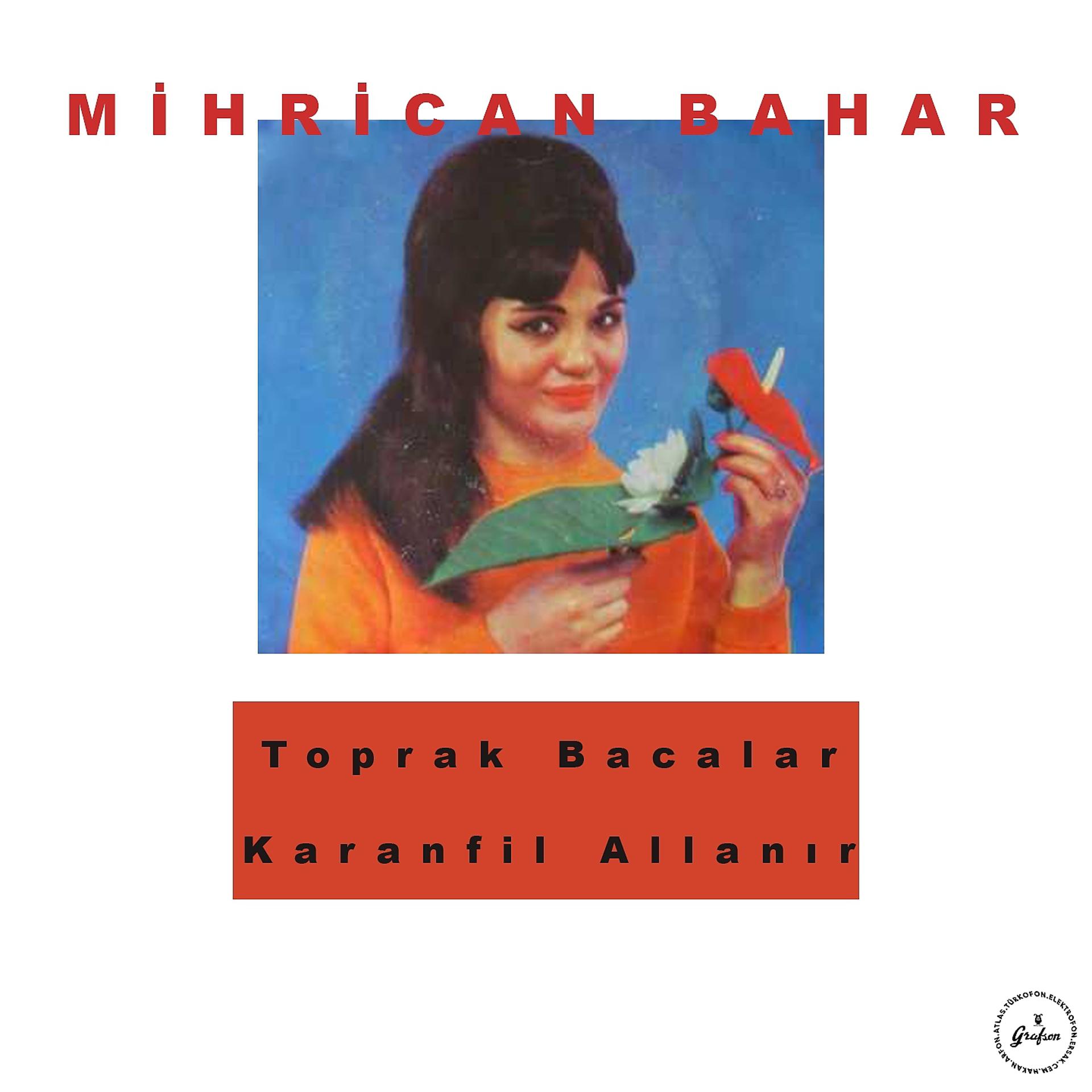 Постер альбома Toprak Bacalar / Karanfil Allanır
