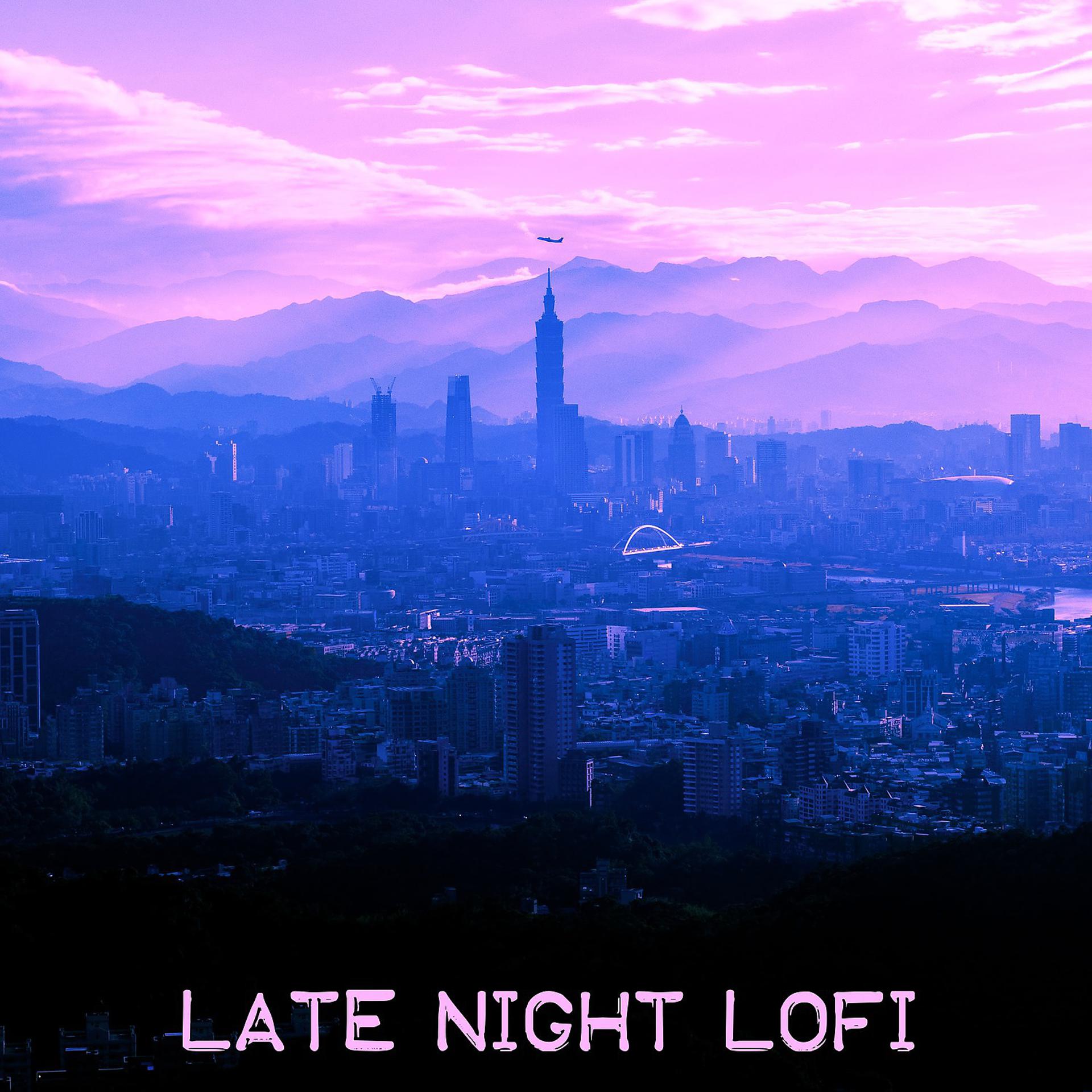 Постер альбома Late Night Lofi