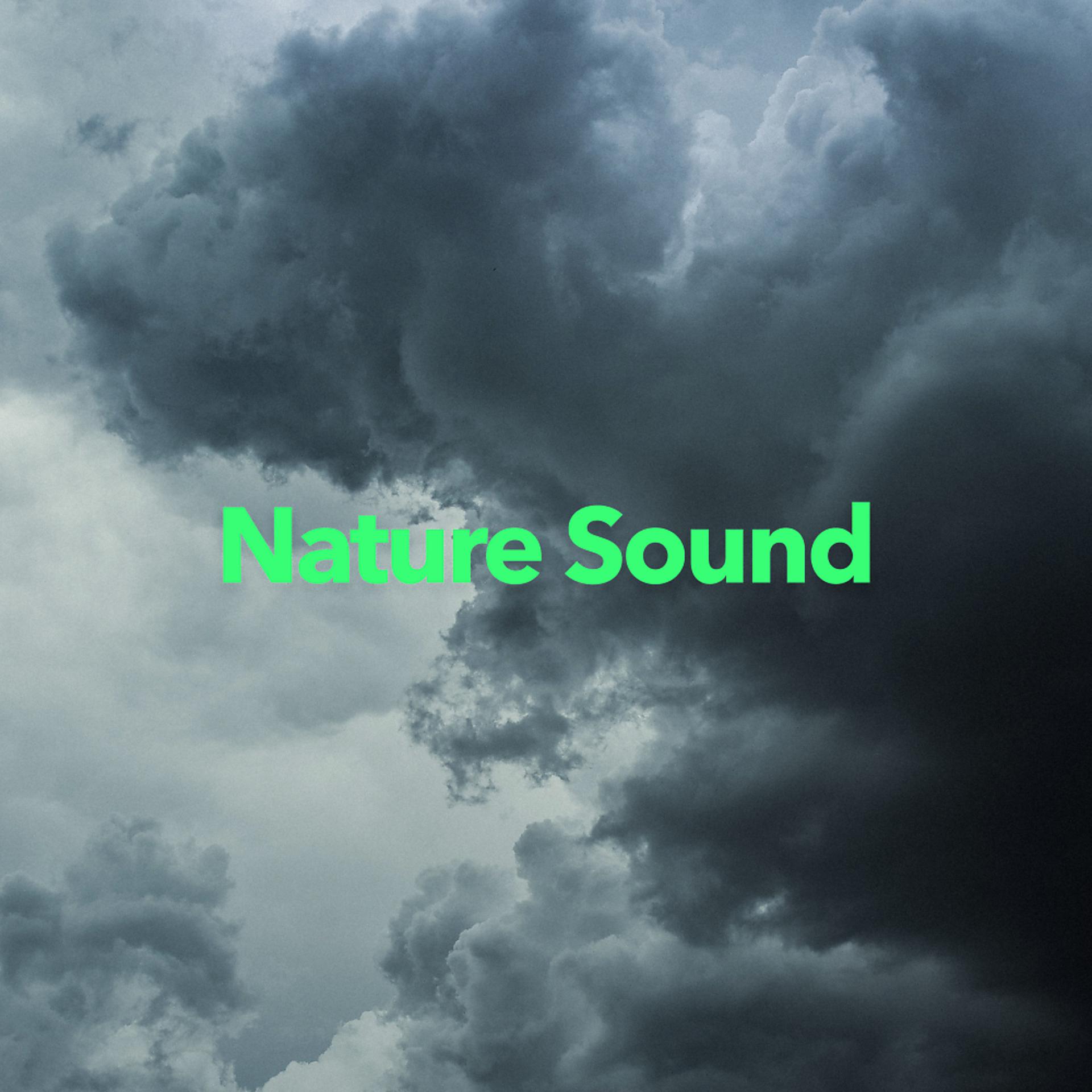 Постер альбома Nature Sound