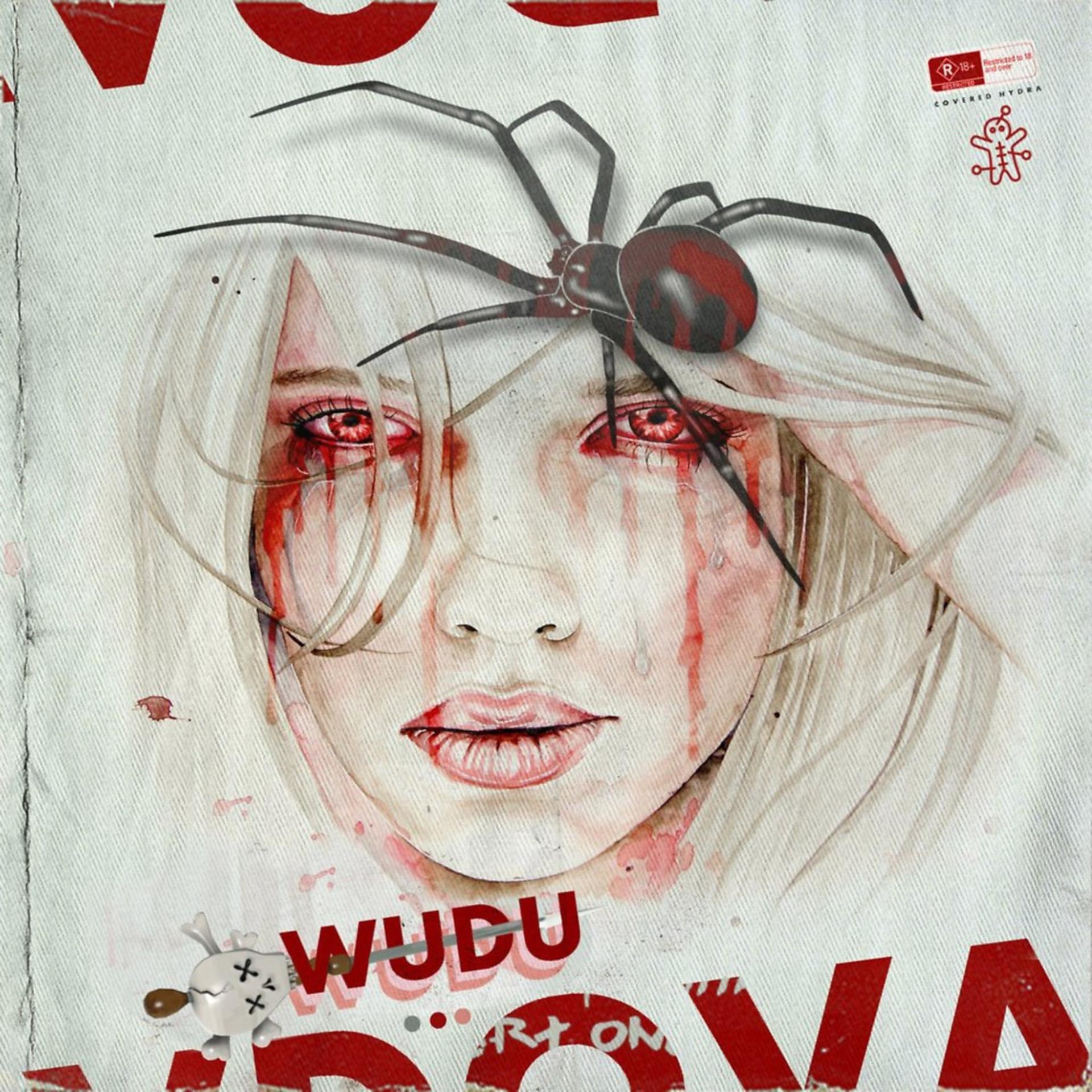 Постер альбома Vdova
