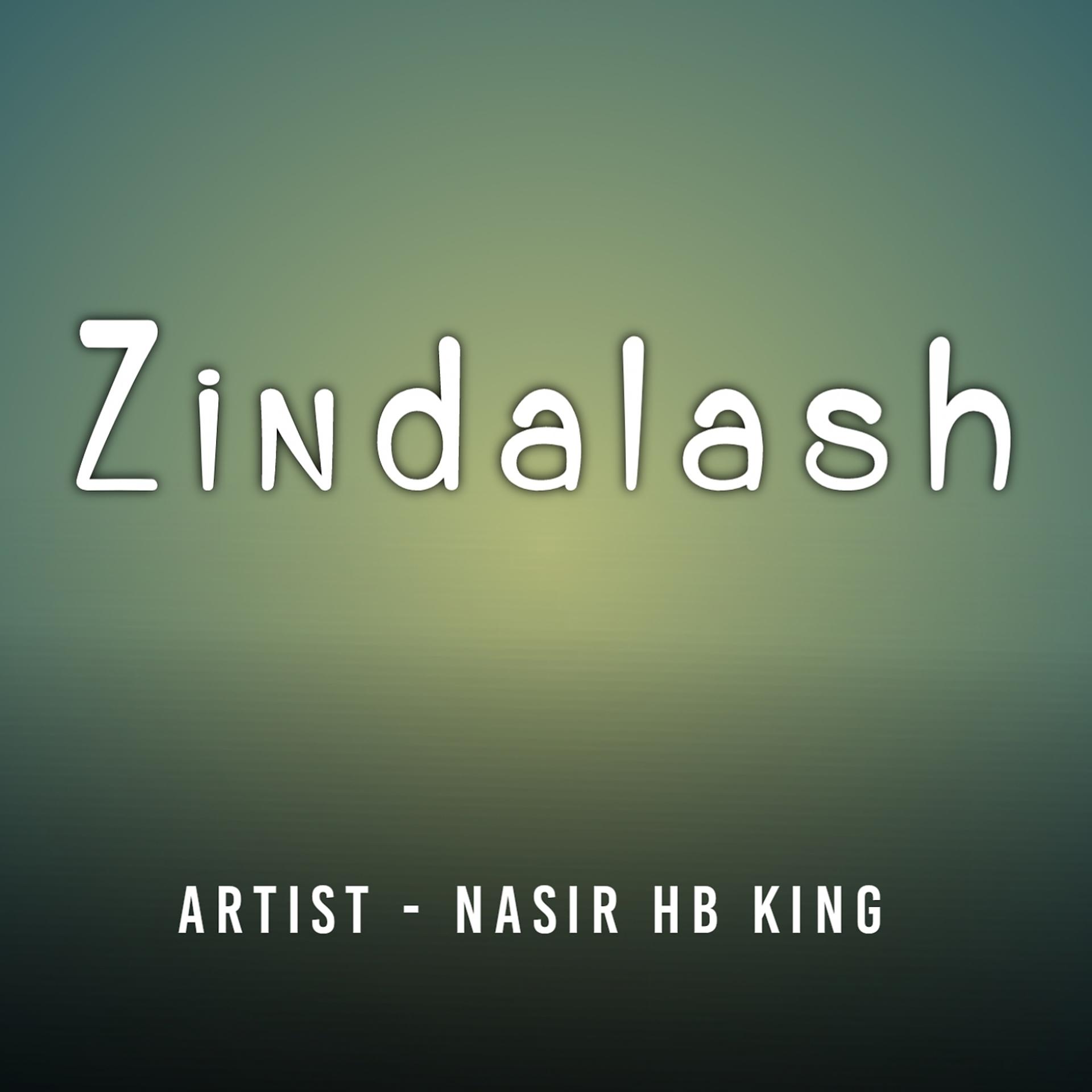 Постер альбома Zindalash