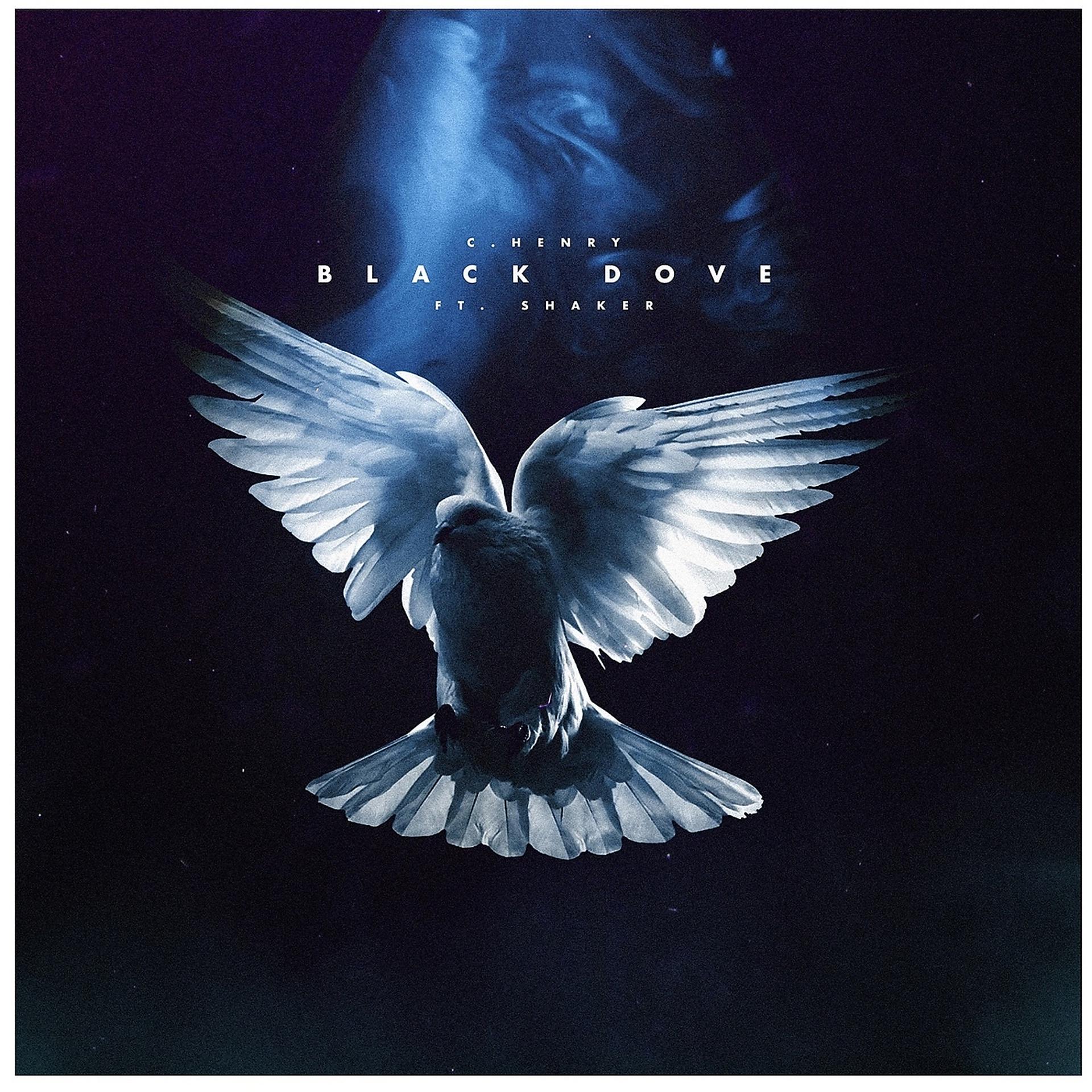 Постер альбома Black Dove