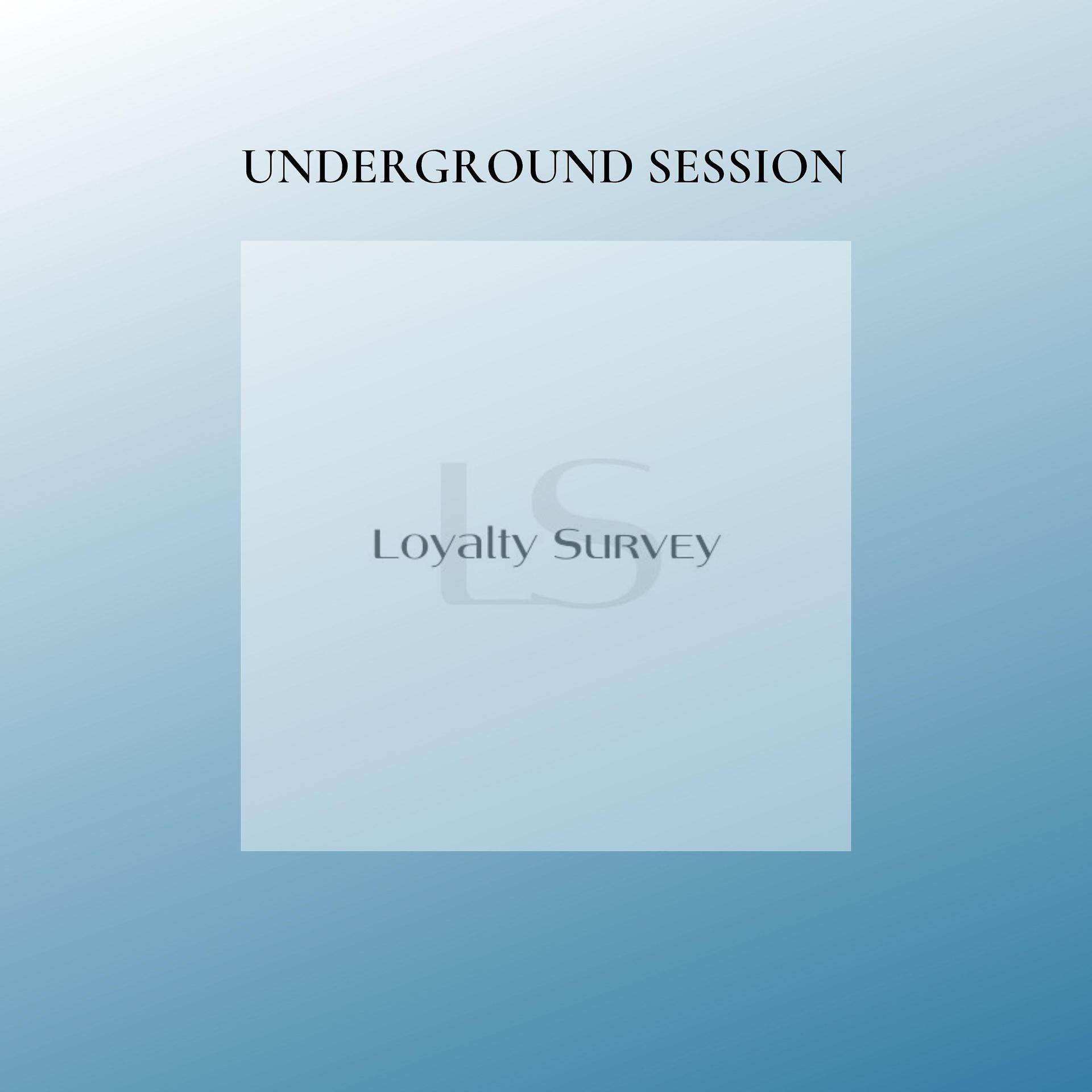 Постер альбома Underground Session