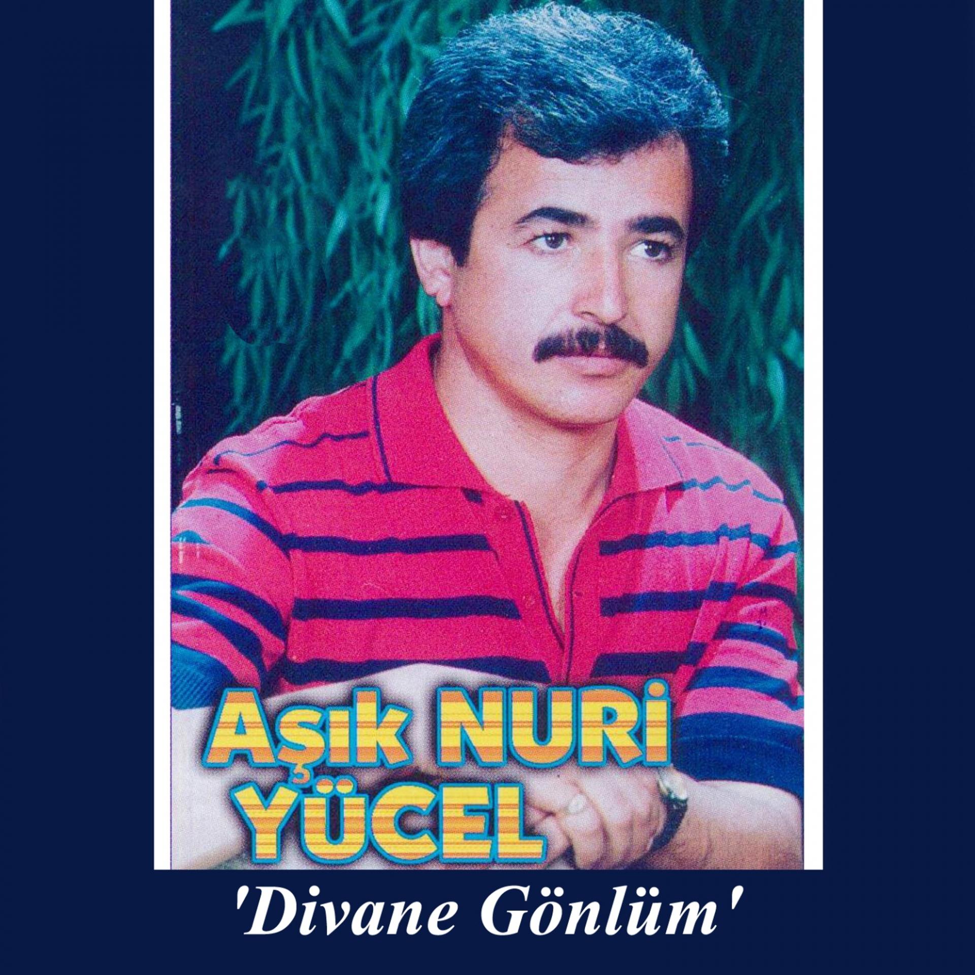 Постер альбома Divane Gönlüm