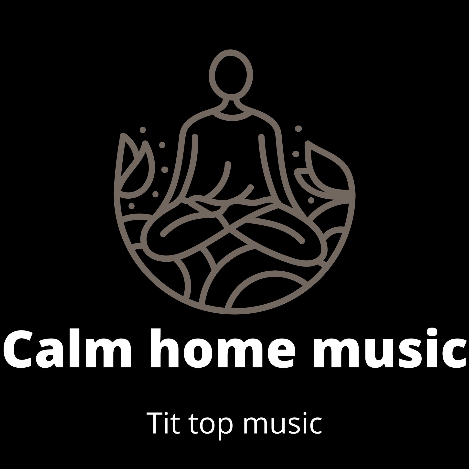 Постер альбома Calm Home Music