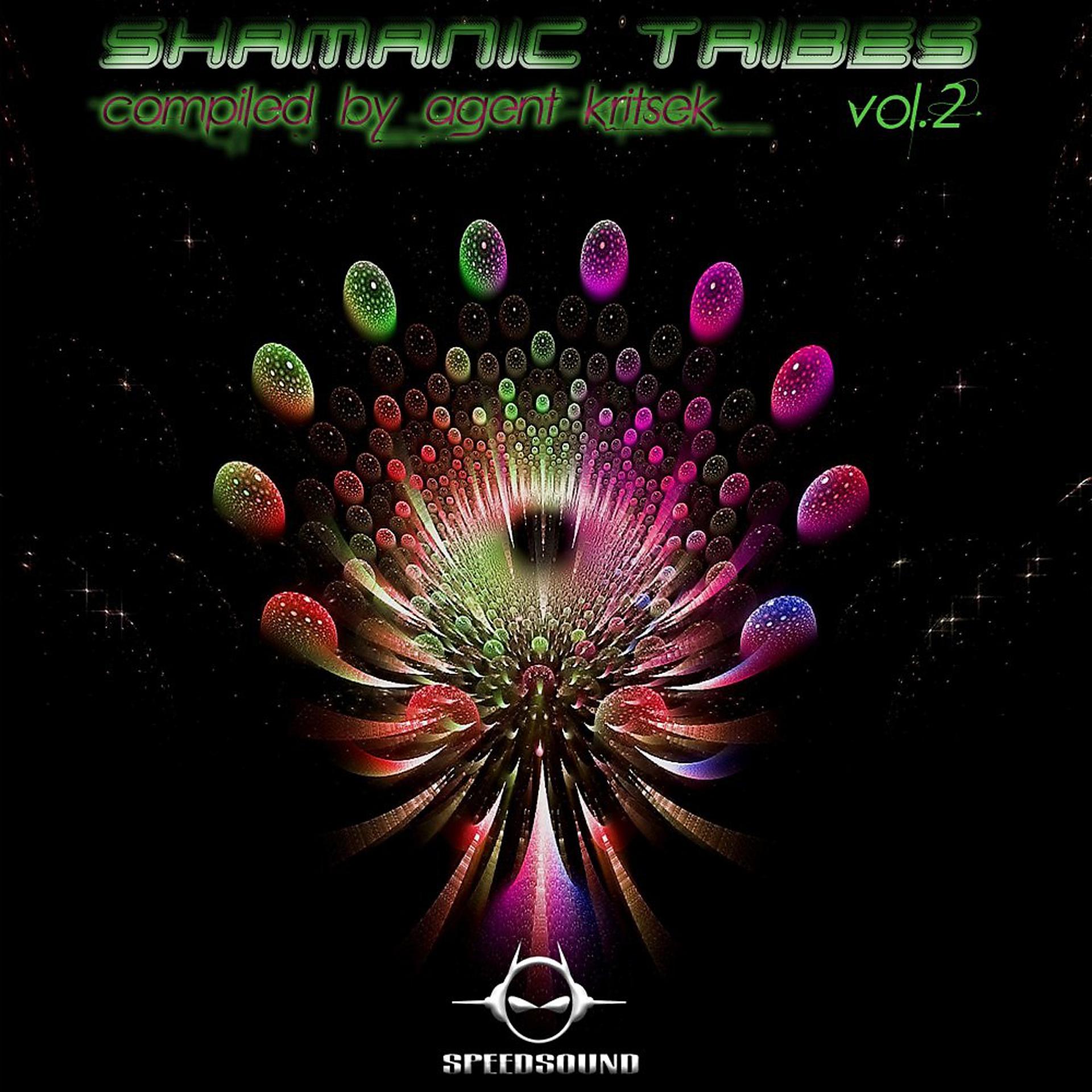 Постер альбома Shamanic Tribes Vol. 2