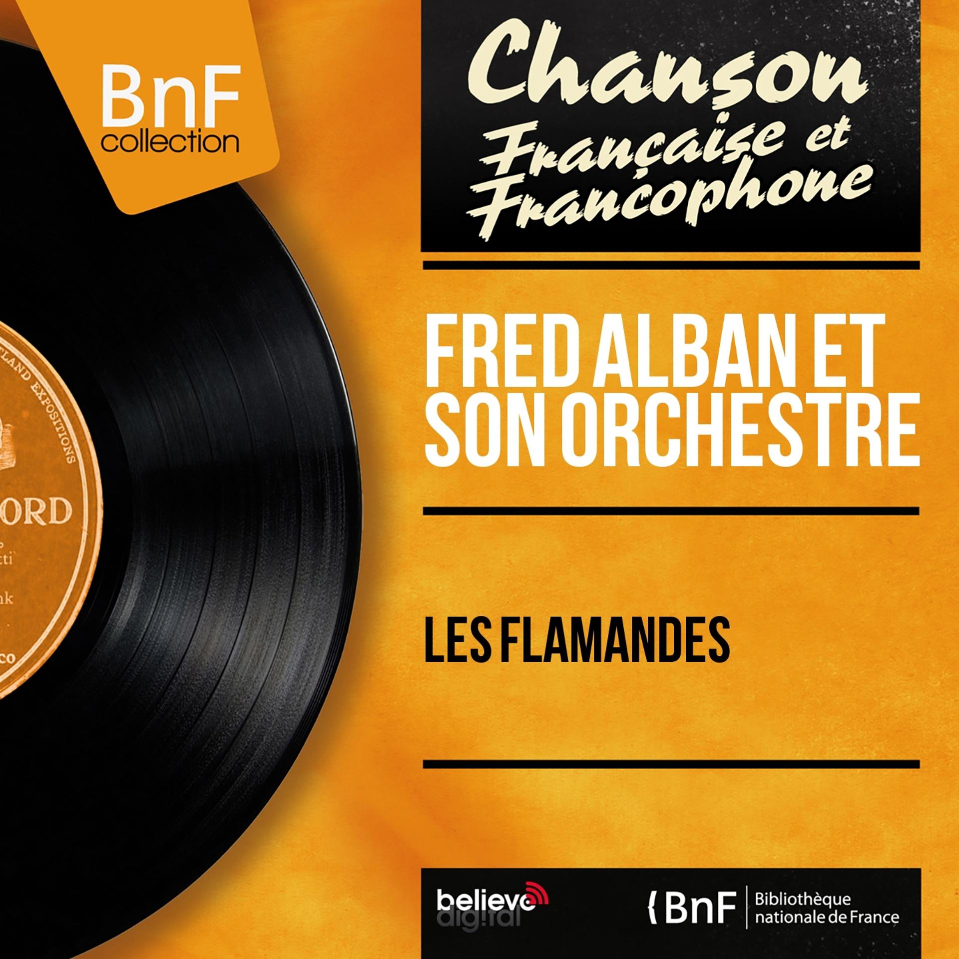 Постер альбома Les flamandes (Mono Version)