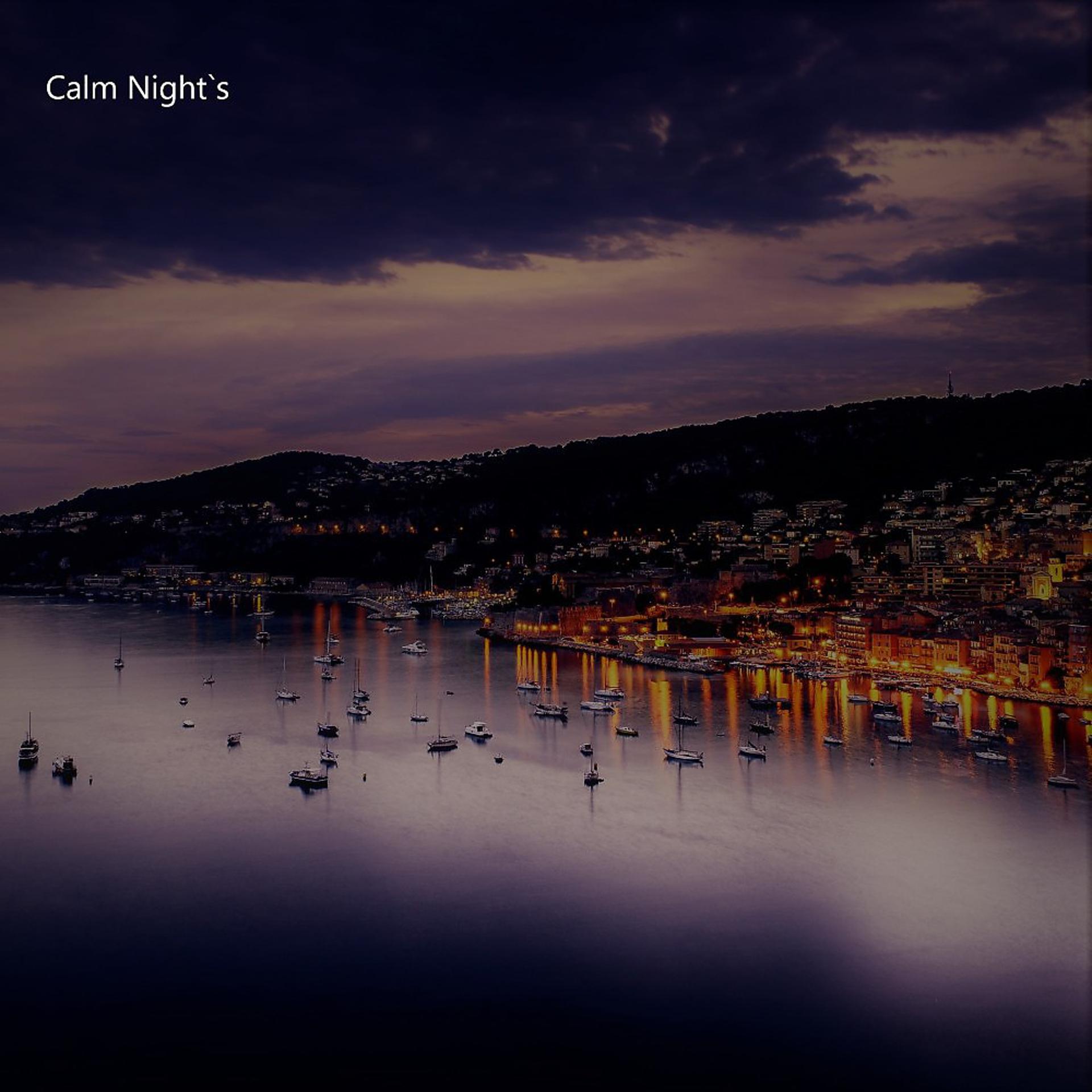 Постер альбома Calm Night's (Remix)