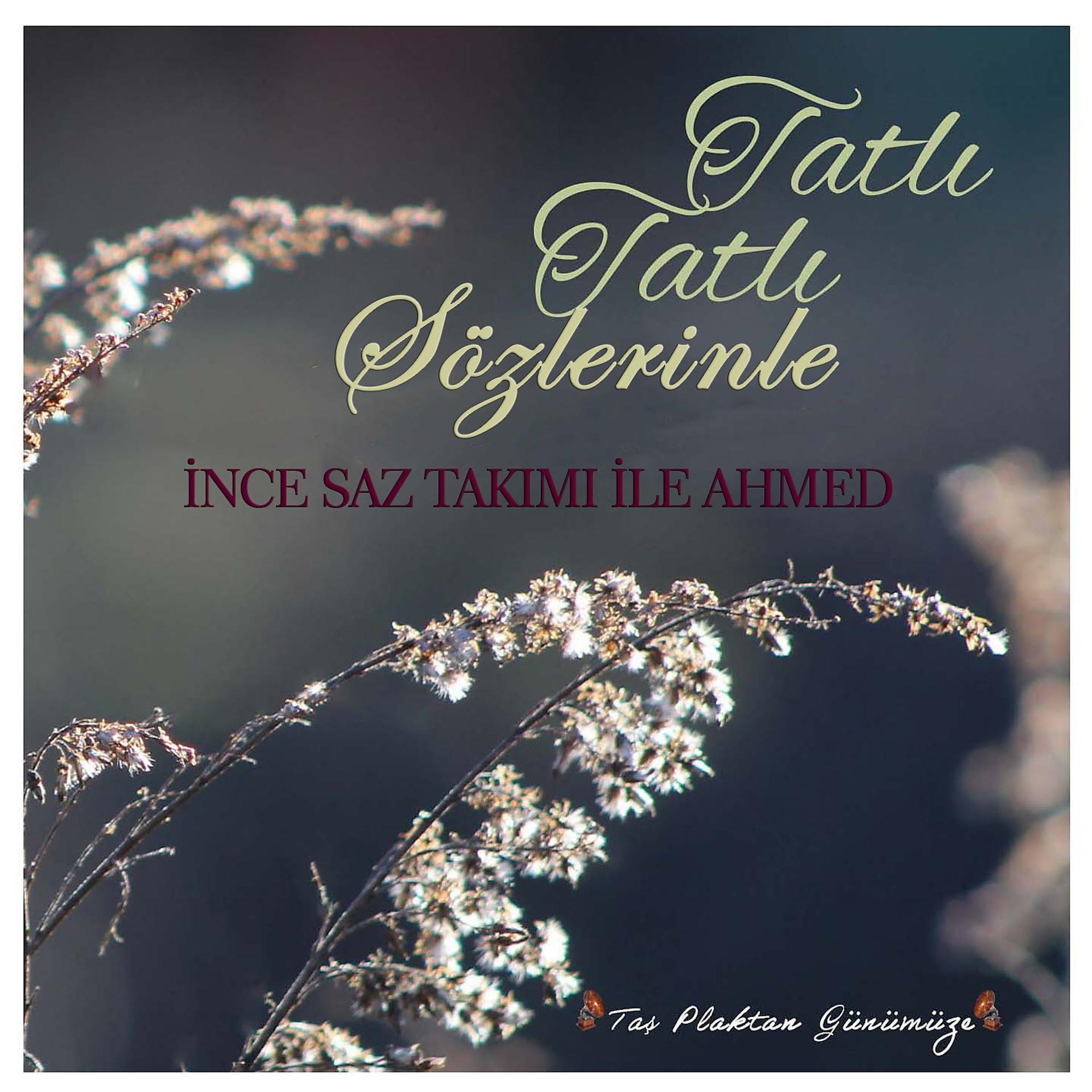 Постер альбома Tatlı Tatlı Sözlerinle