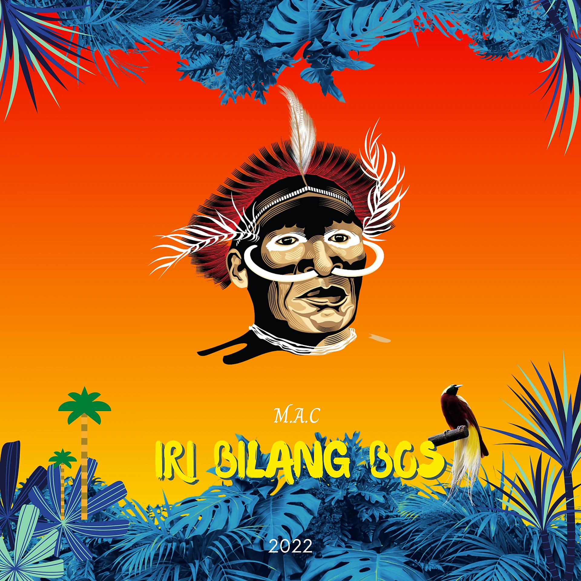 Постер альбома Iri Bilang Bos