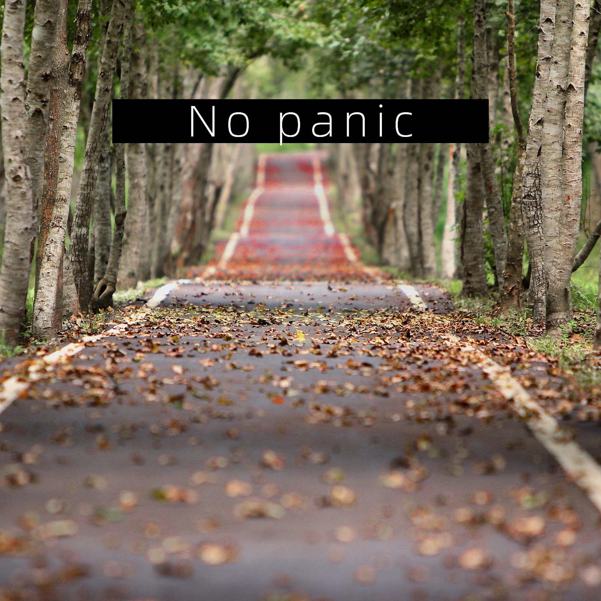Постер альбома No panic