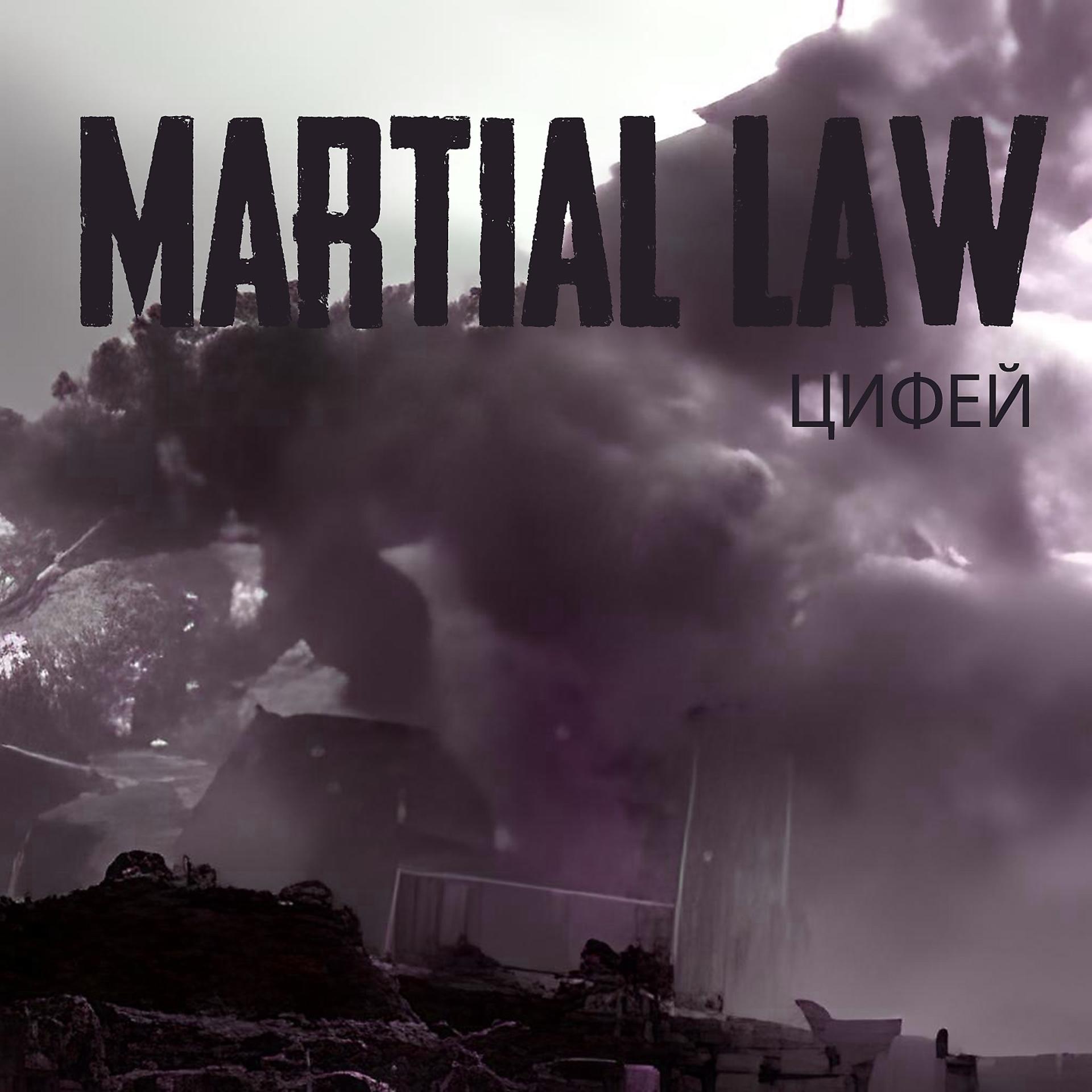Постер альбома Martial Law