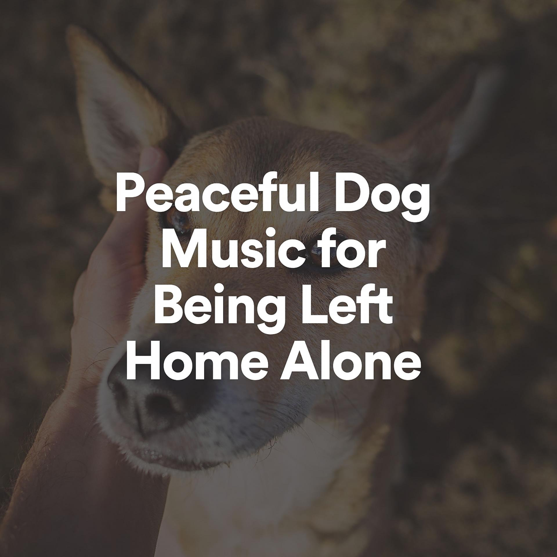 Постер альбома Peaceful Dog Music for Being Left Home Alone