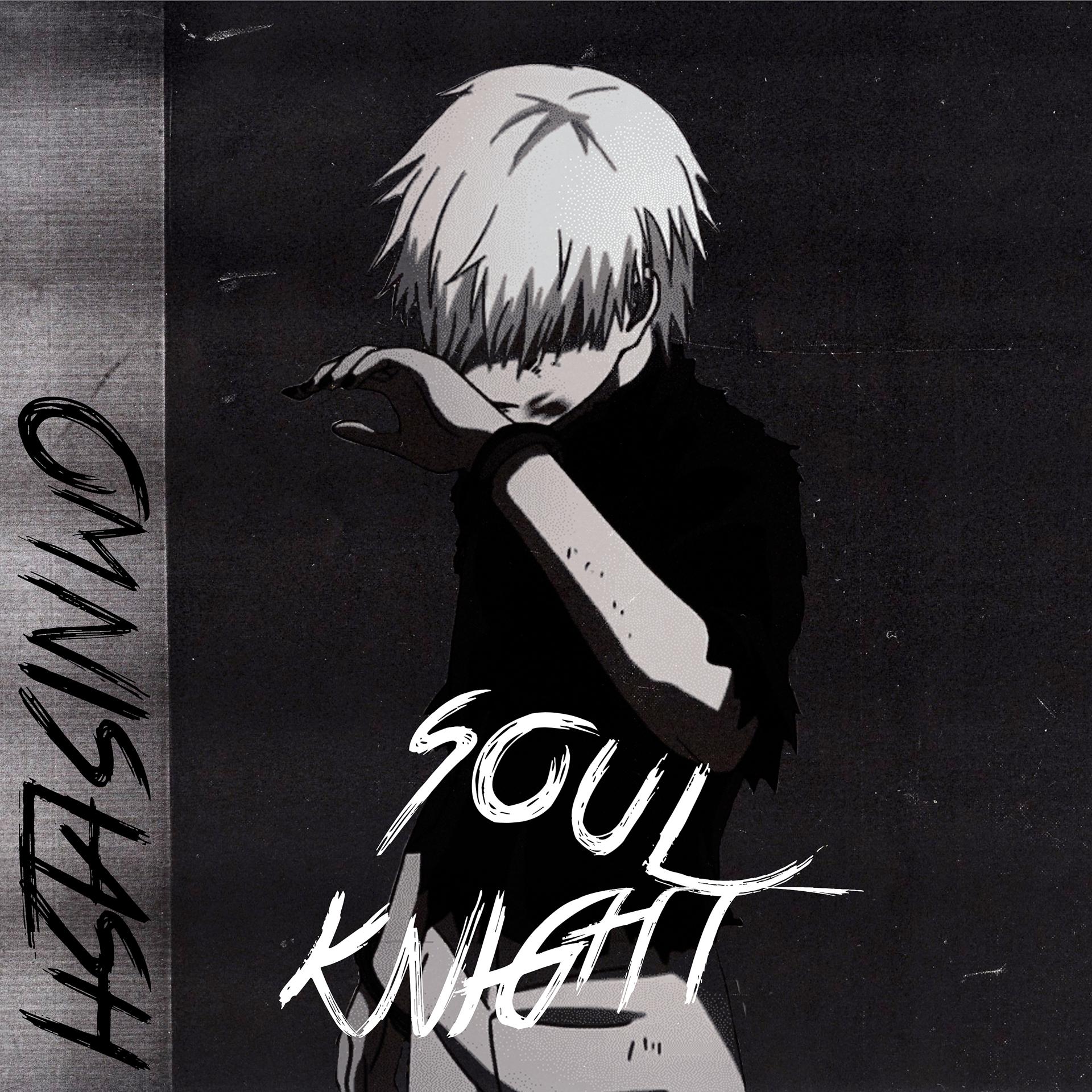 Постер альбома Soul Knight