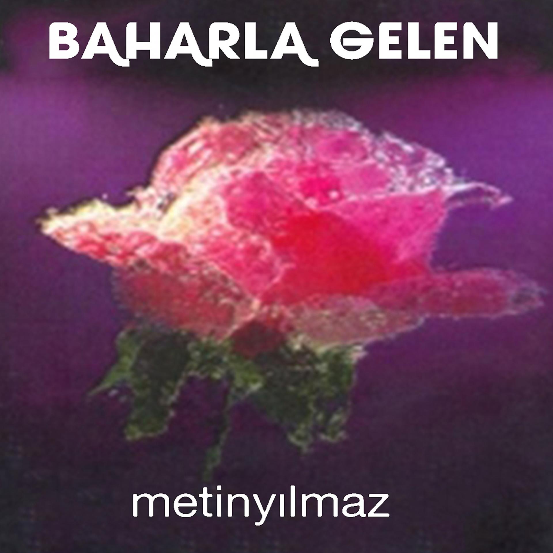 Постер альбома Baharla Gelen