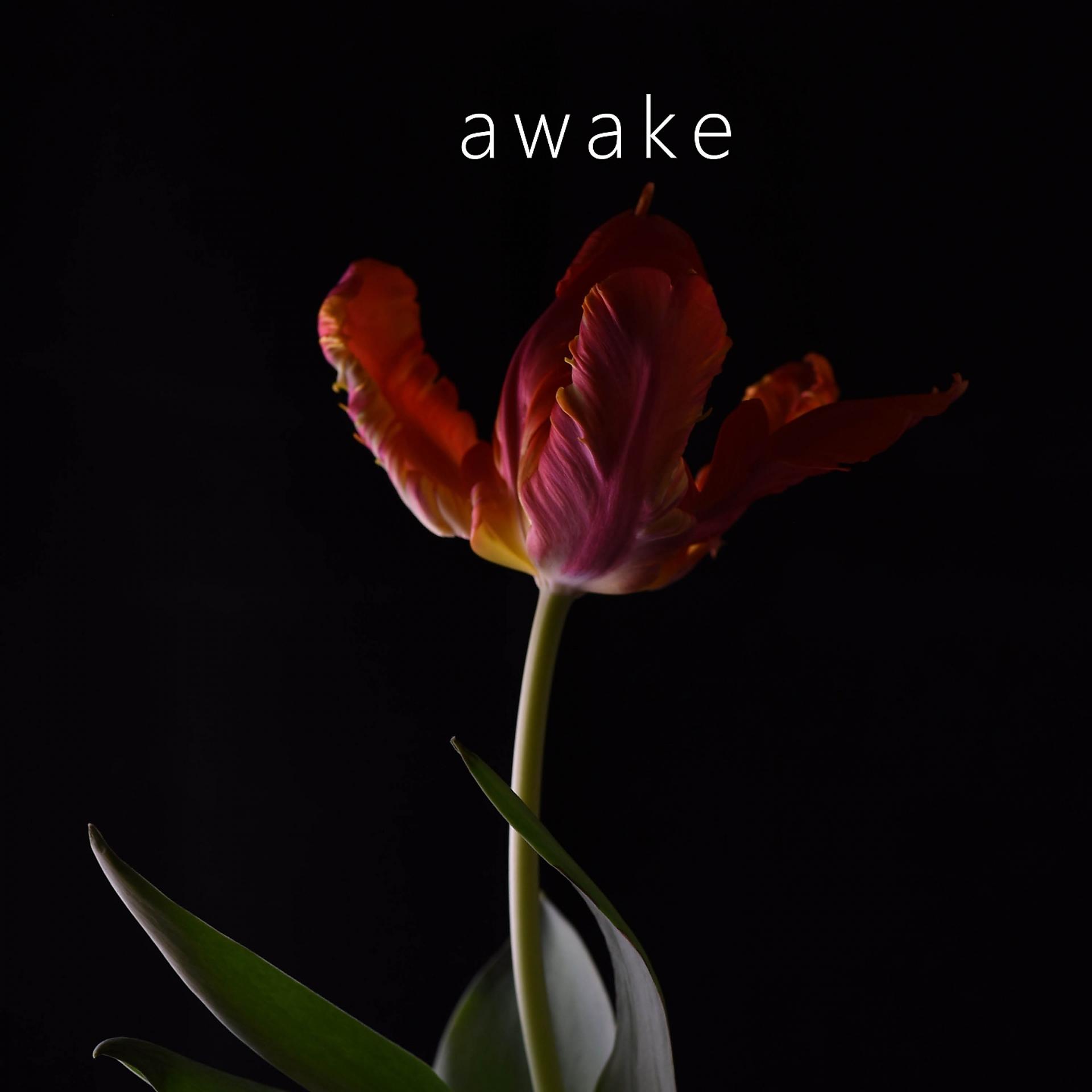 Постер альбома awake