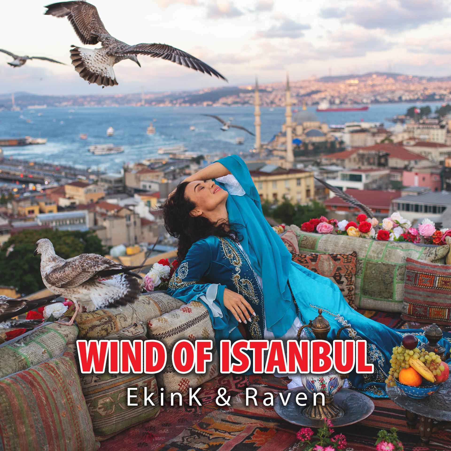 Постер альбома Wind of Istanbul