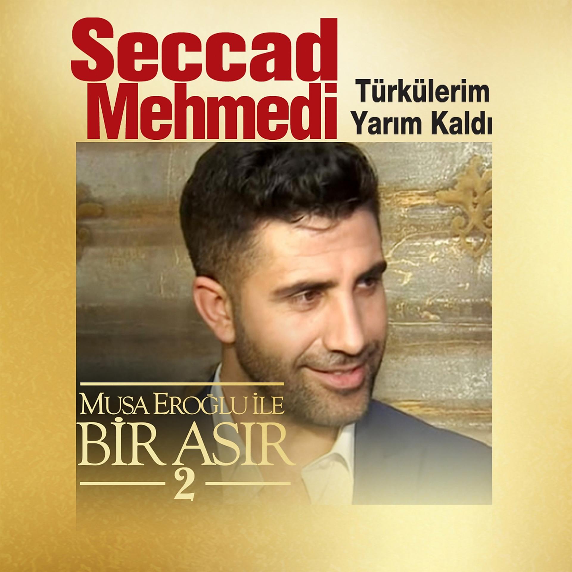 Постер альбома Türkülerim Yarım Kaldı