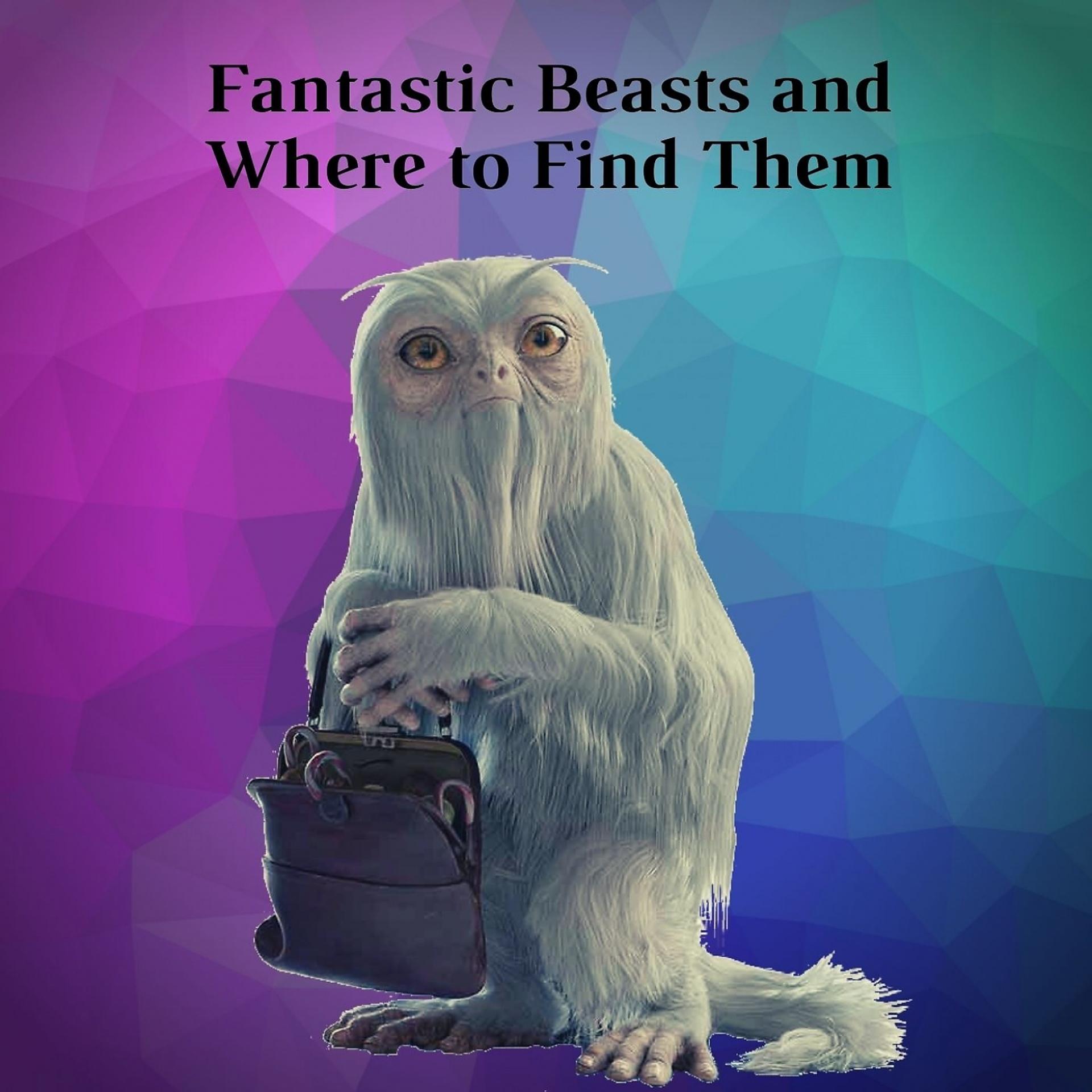 Постер альбома Fantastic Beasts and Where to Find Them