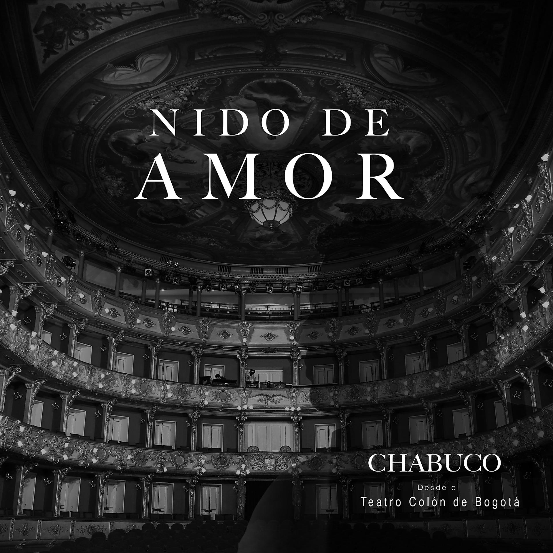 Постер альбома Nido de Amor (En Vivo Desde el teatro Colón de Bogotá)