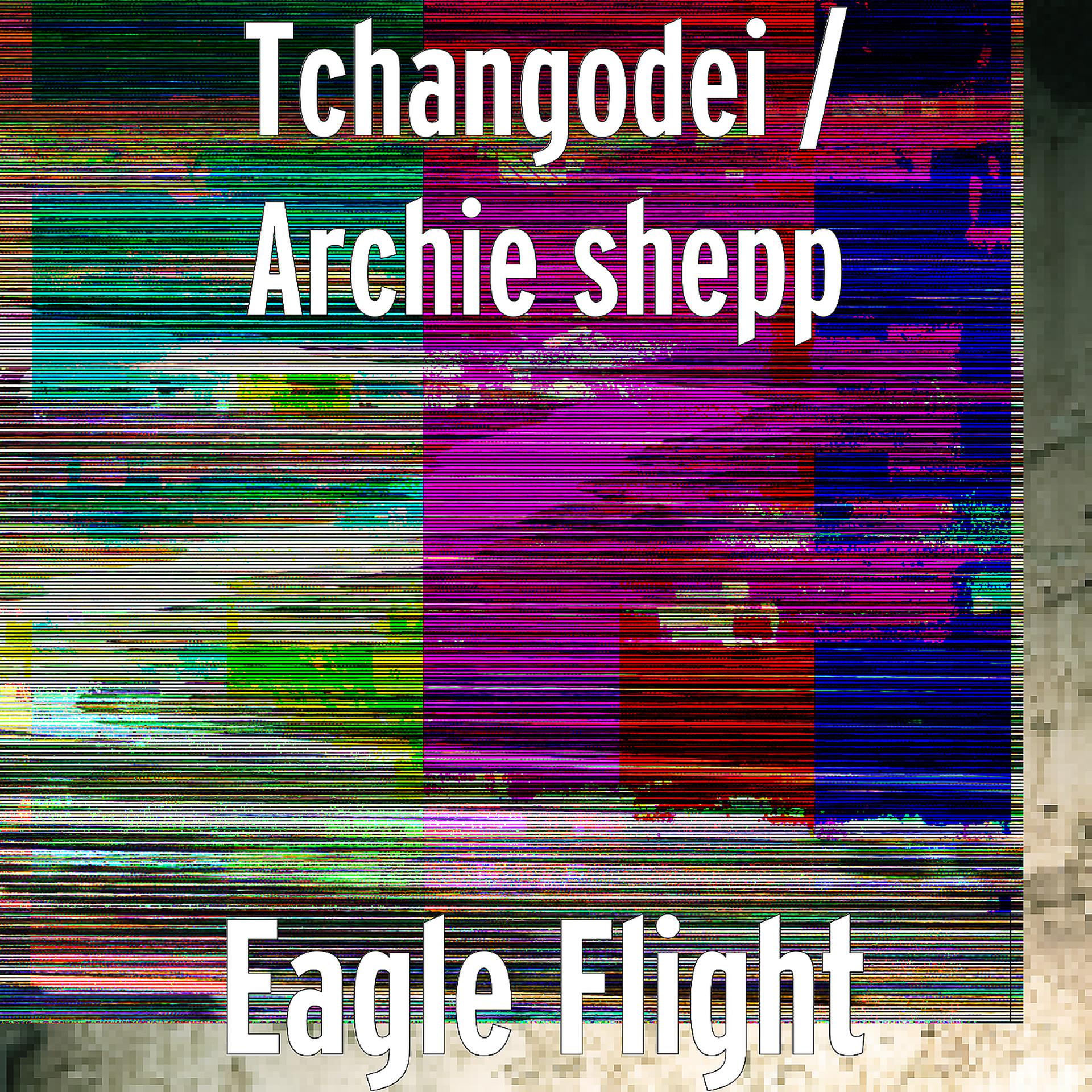 Постер альбома Eagle Flight