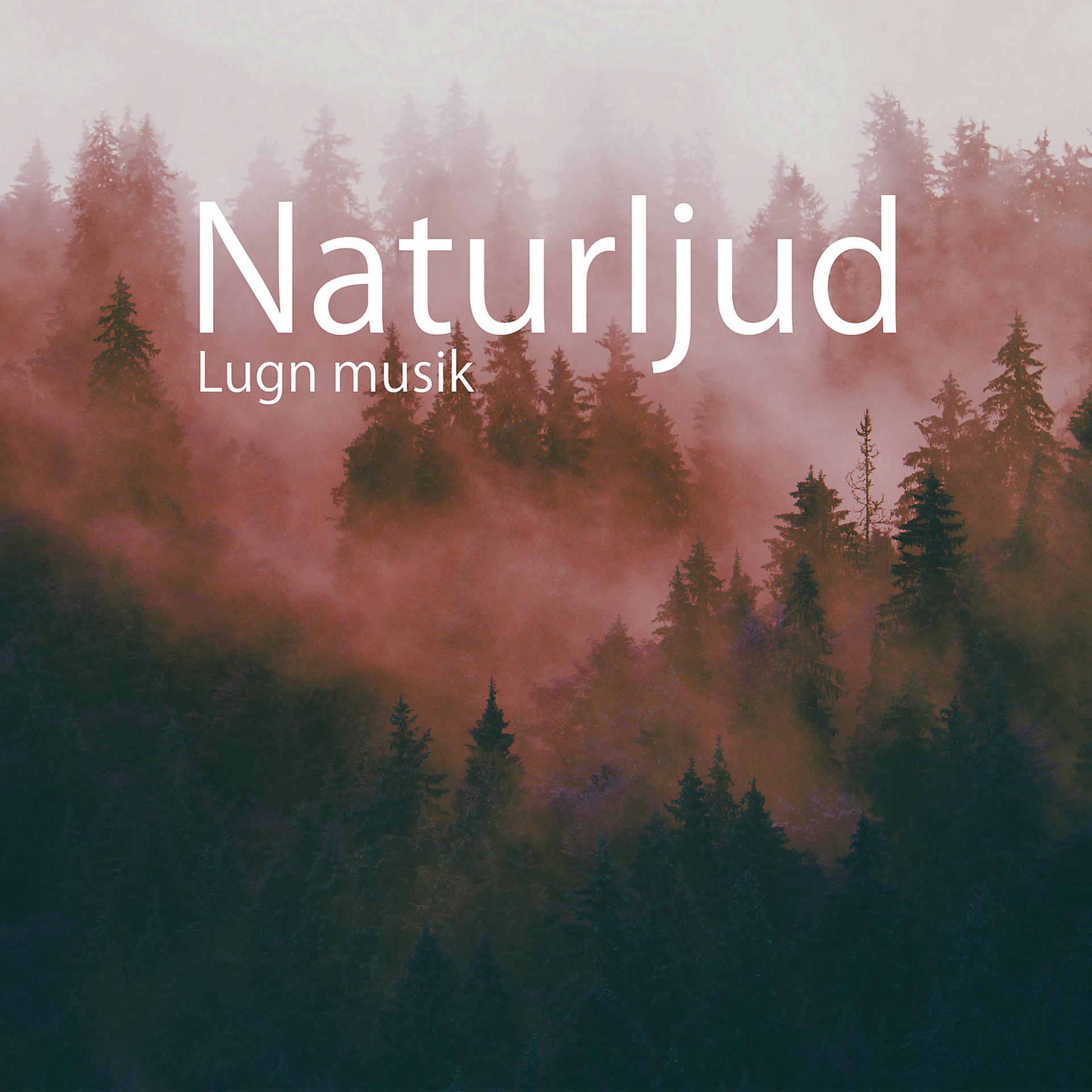 Постер альбома Naturljud: Lugn musik, Avslappningsövningar för stress