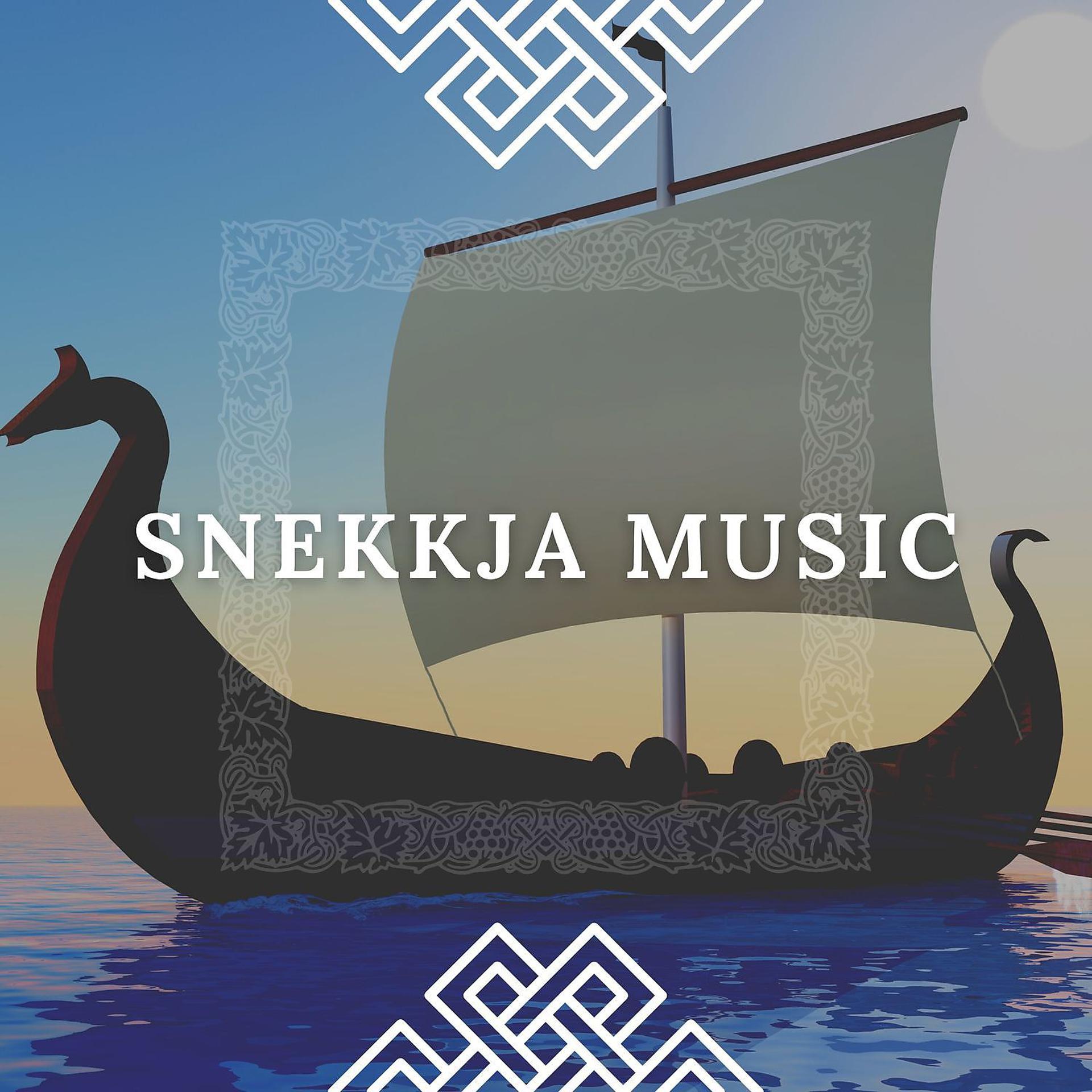 Постер альбома Snekkja Music | Instrumental Music Playlist