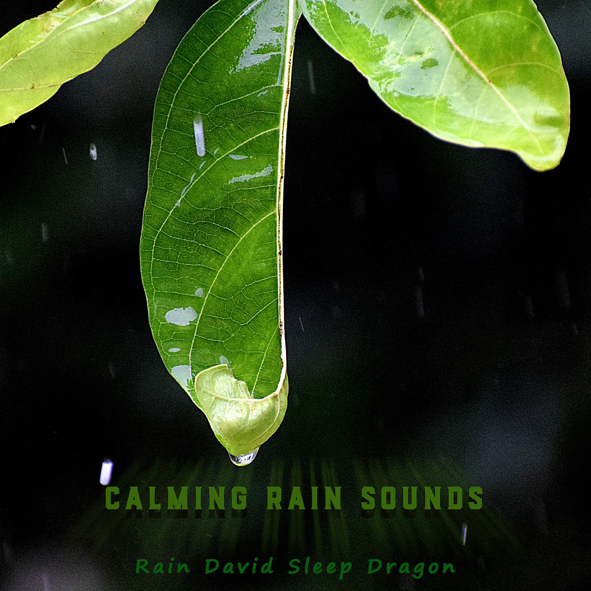 Постер альбома Calming Rain Sounds