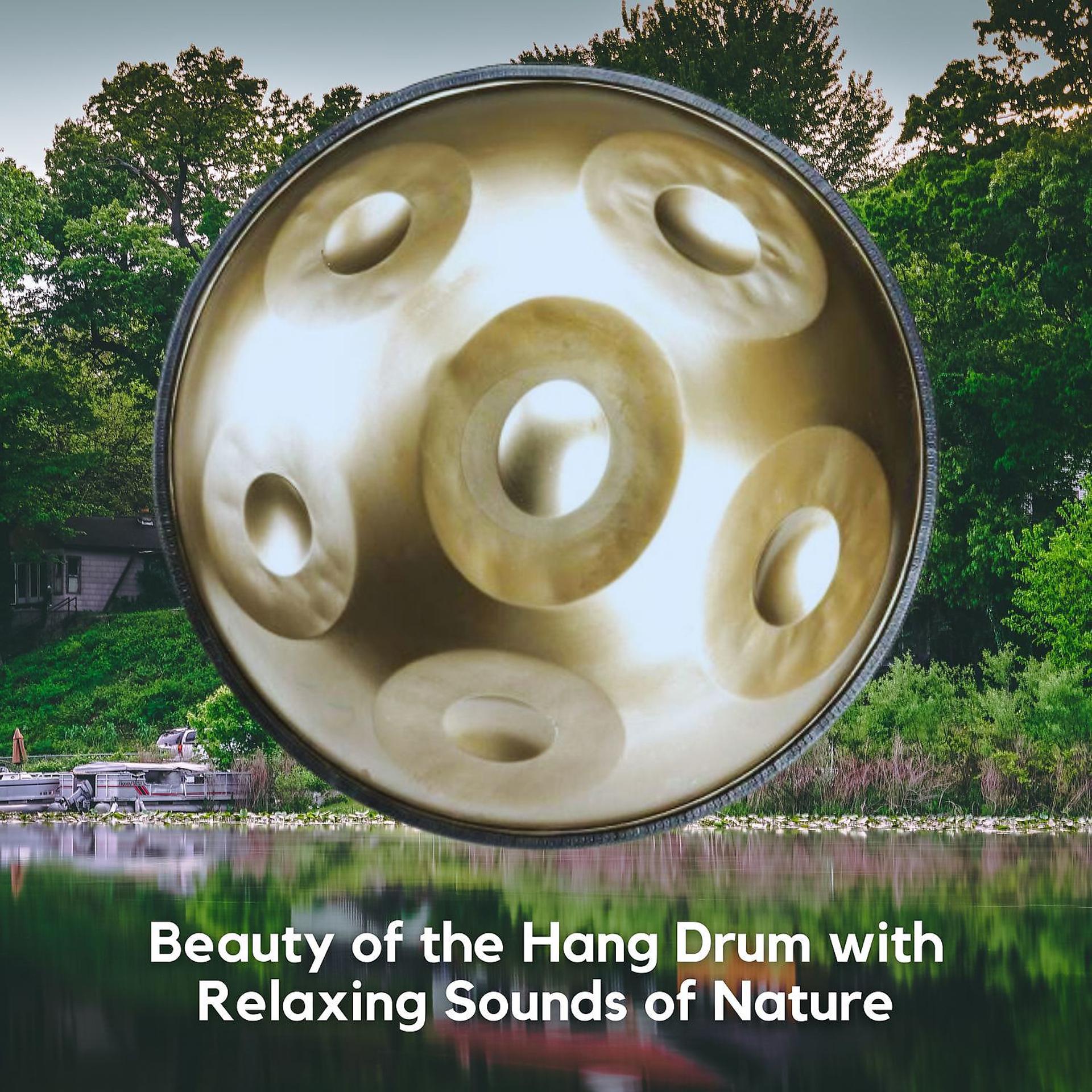 Постер альбома Beauty of the Hang Drum with Relaxing Sounds of Nature