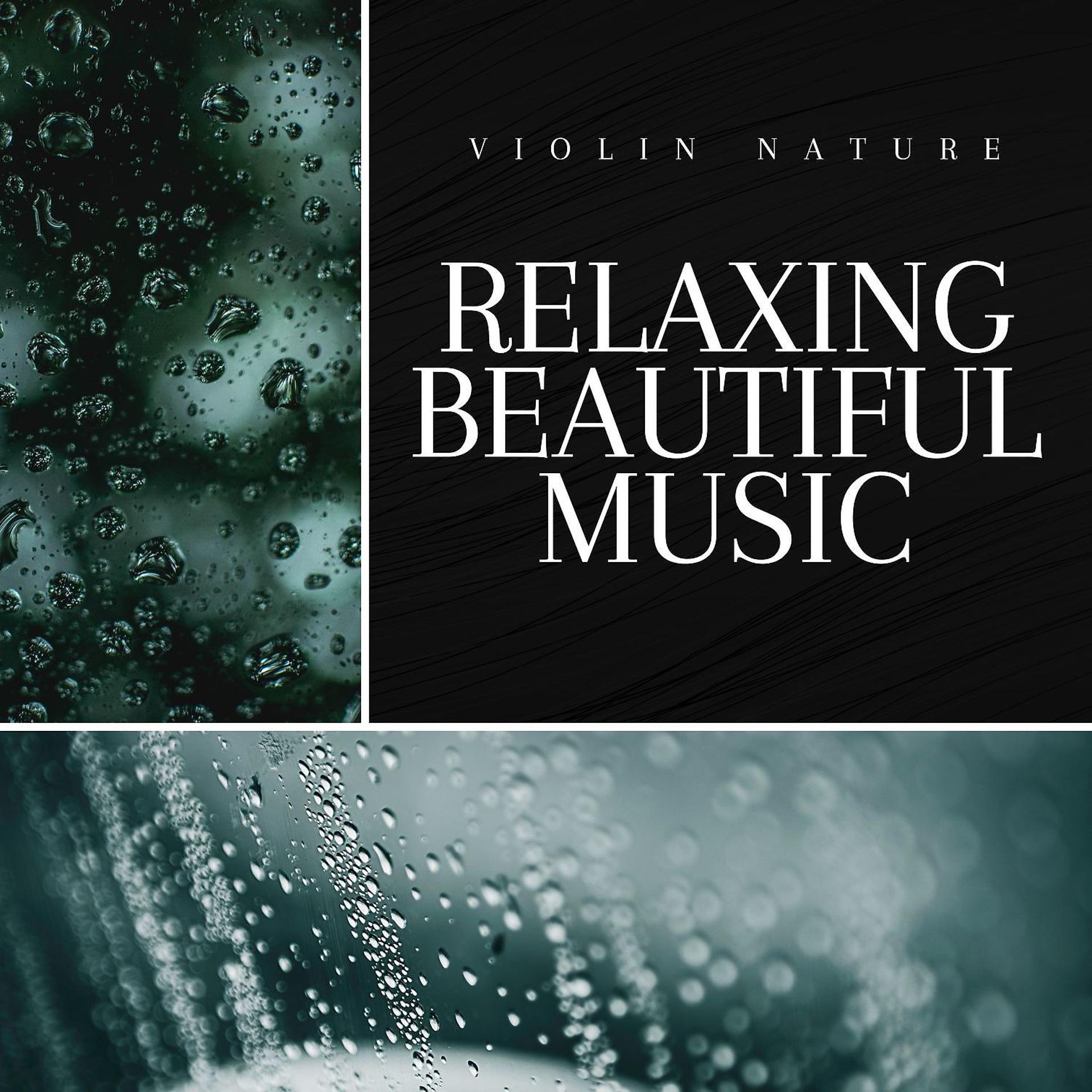 Постер альбома Relaxing Beautiful Music