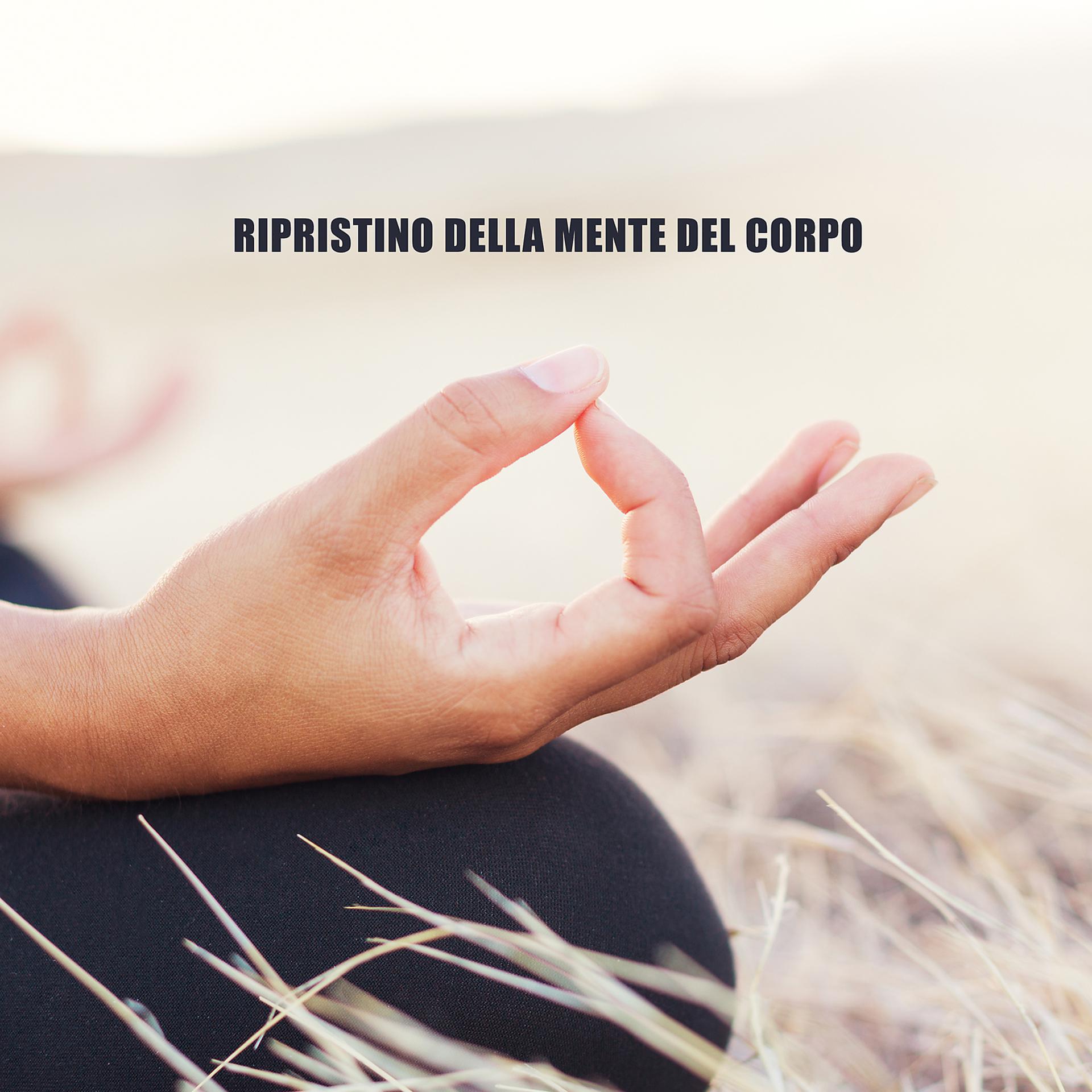 Постер альбома Ripristino della mente del corpo: Rilascio di melatonina, Fase REM rilassante