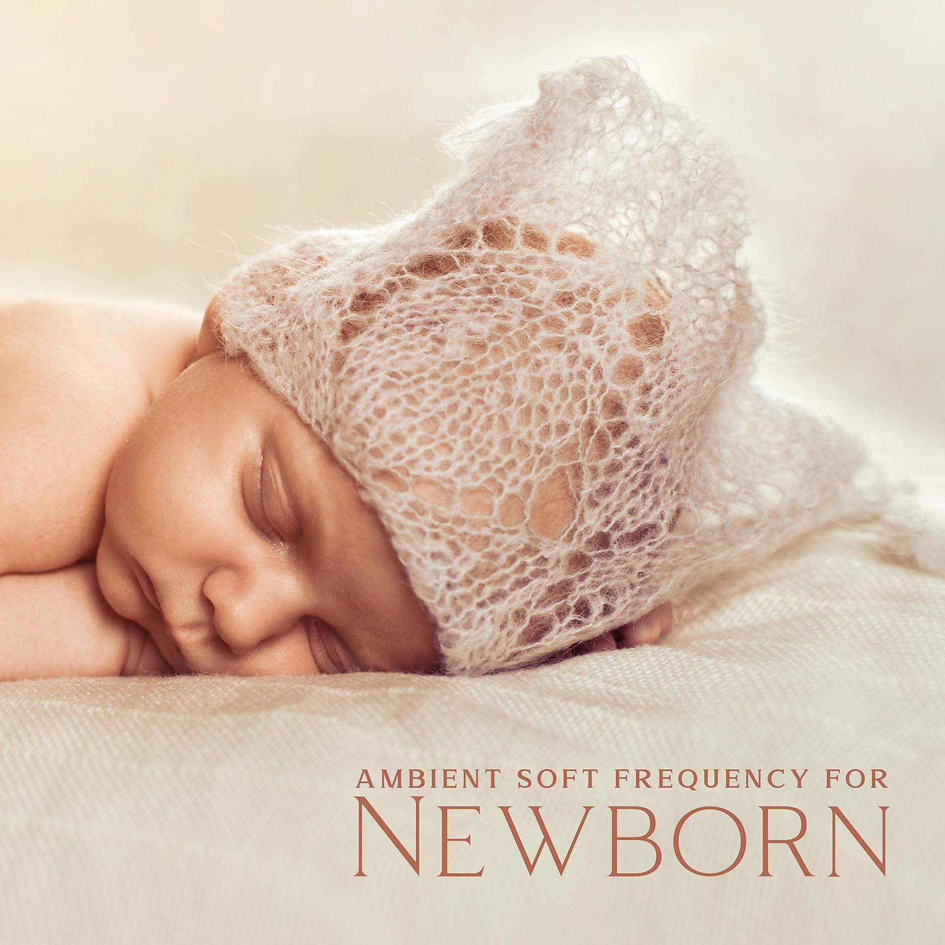 Постер альбома Ambient Soft Frequency for Newborn: Calm, Tranquil Time for Your Baby, Rest Moment