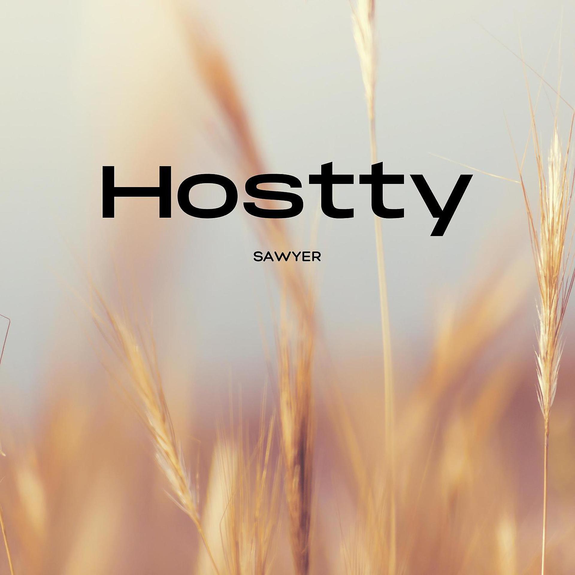 Постер альбома Hostty